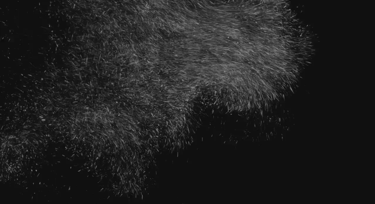 dust