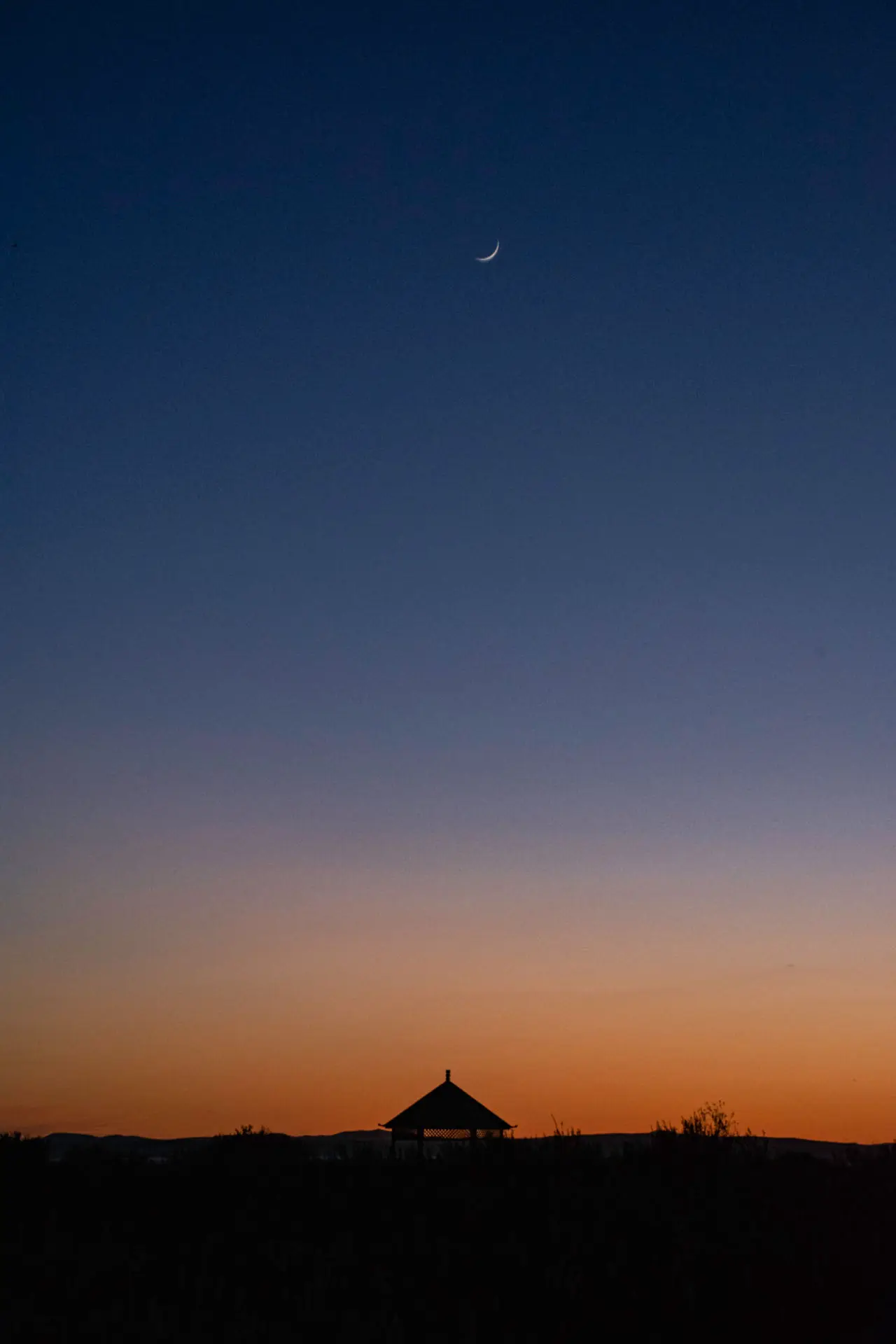 An image to describe post