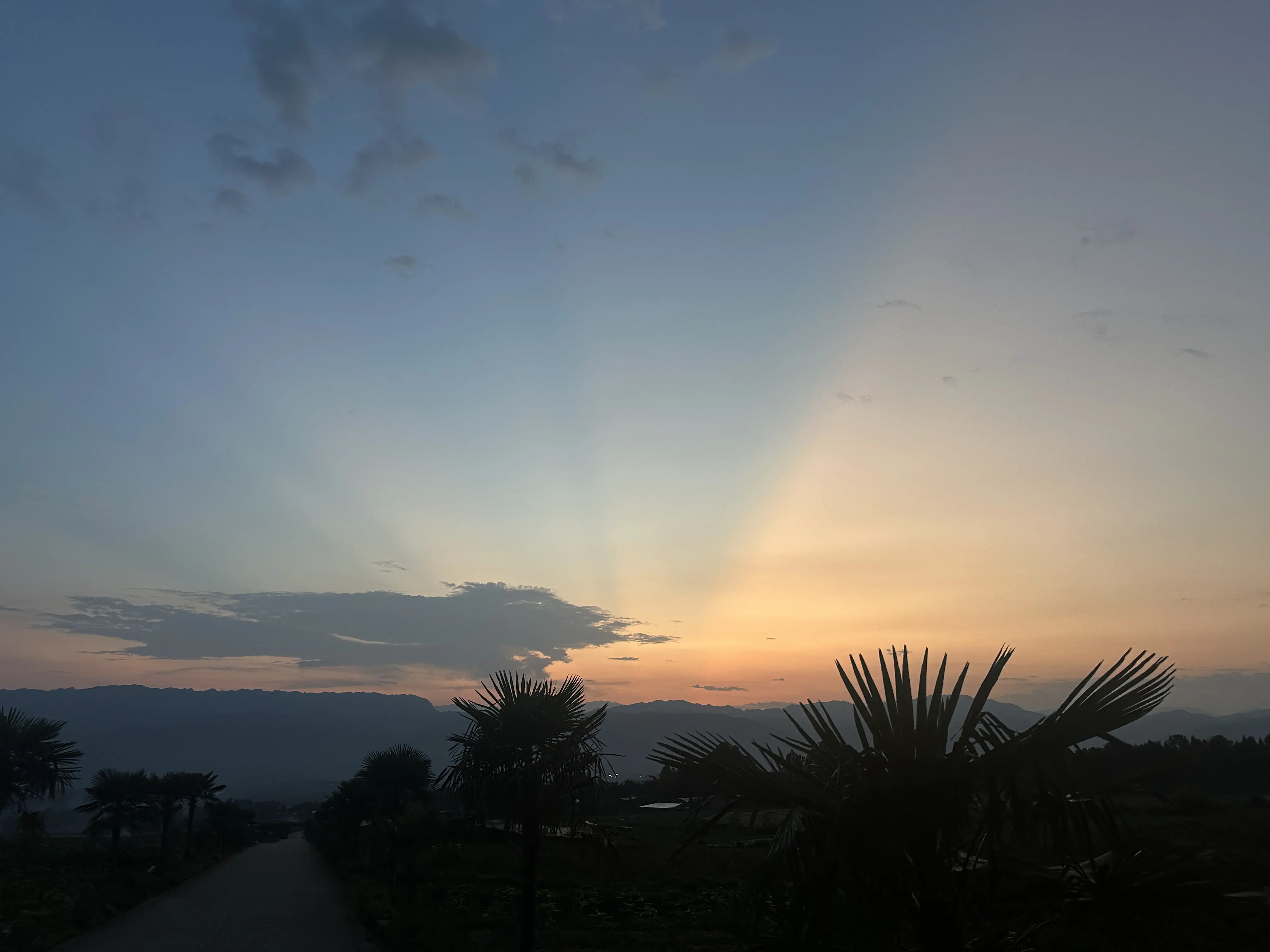 An image to describe post