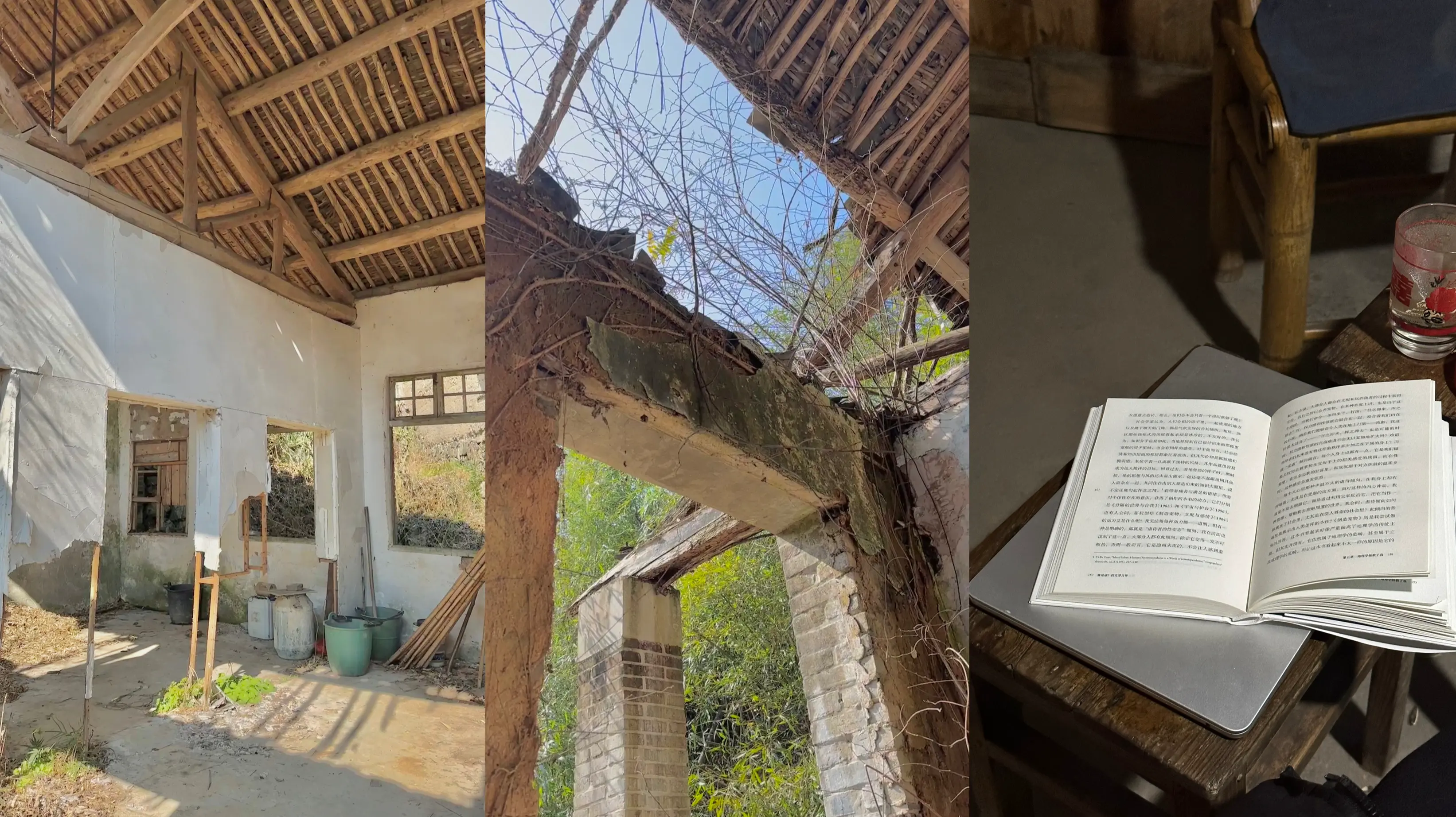 17：回家过年，做个「真人」｜曲率飞船newsletter