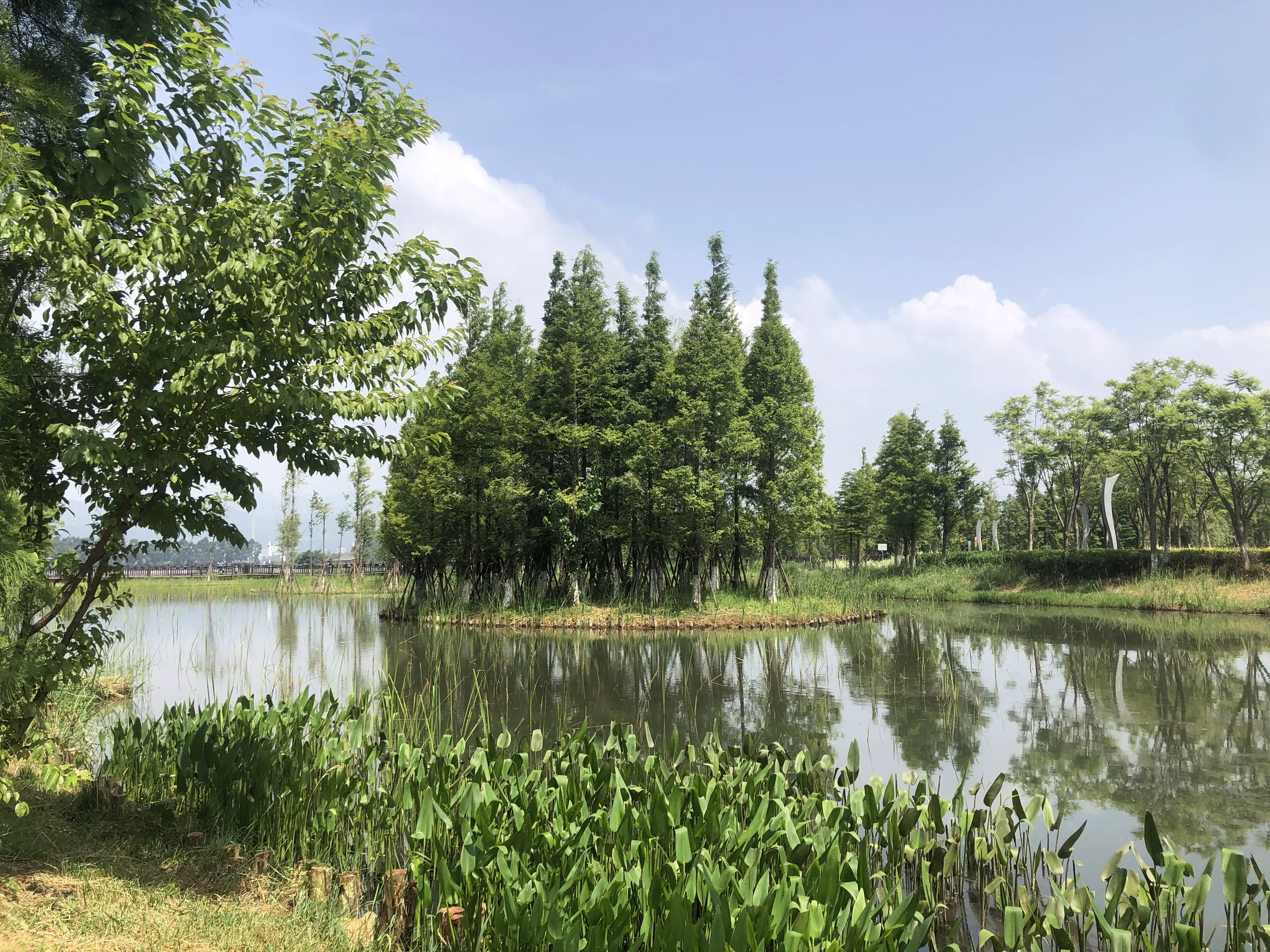 An image to describe post