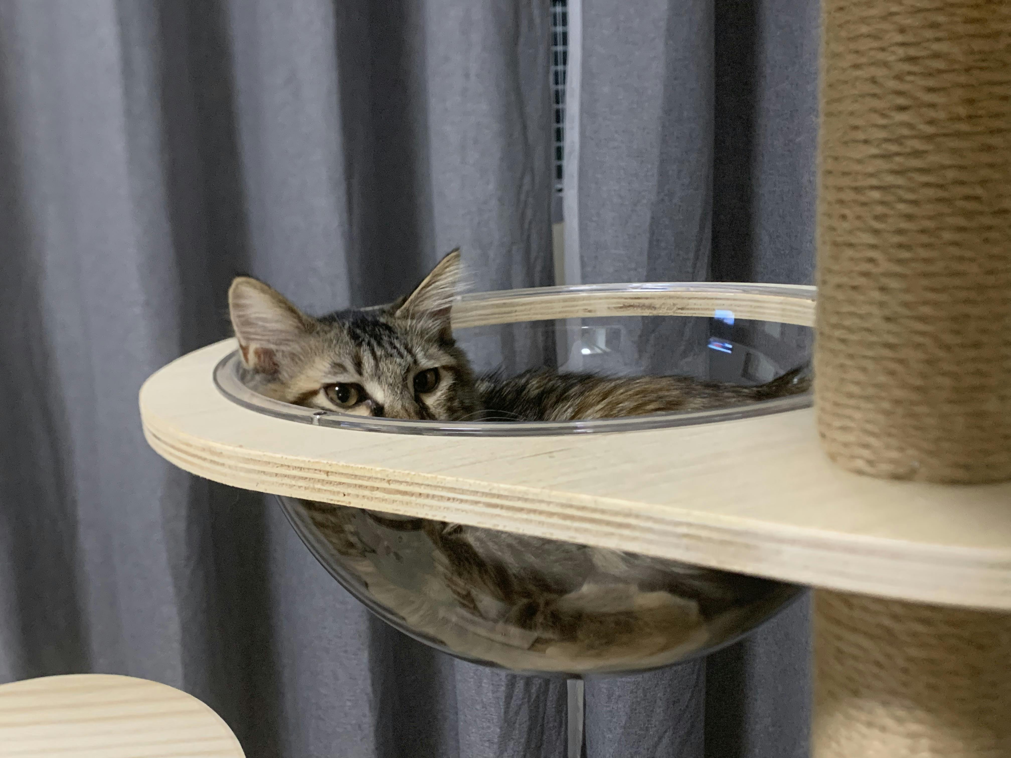 An image to describe post