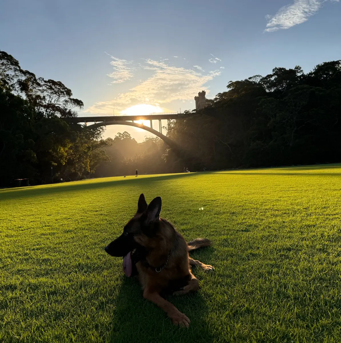 An image to describe post