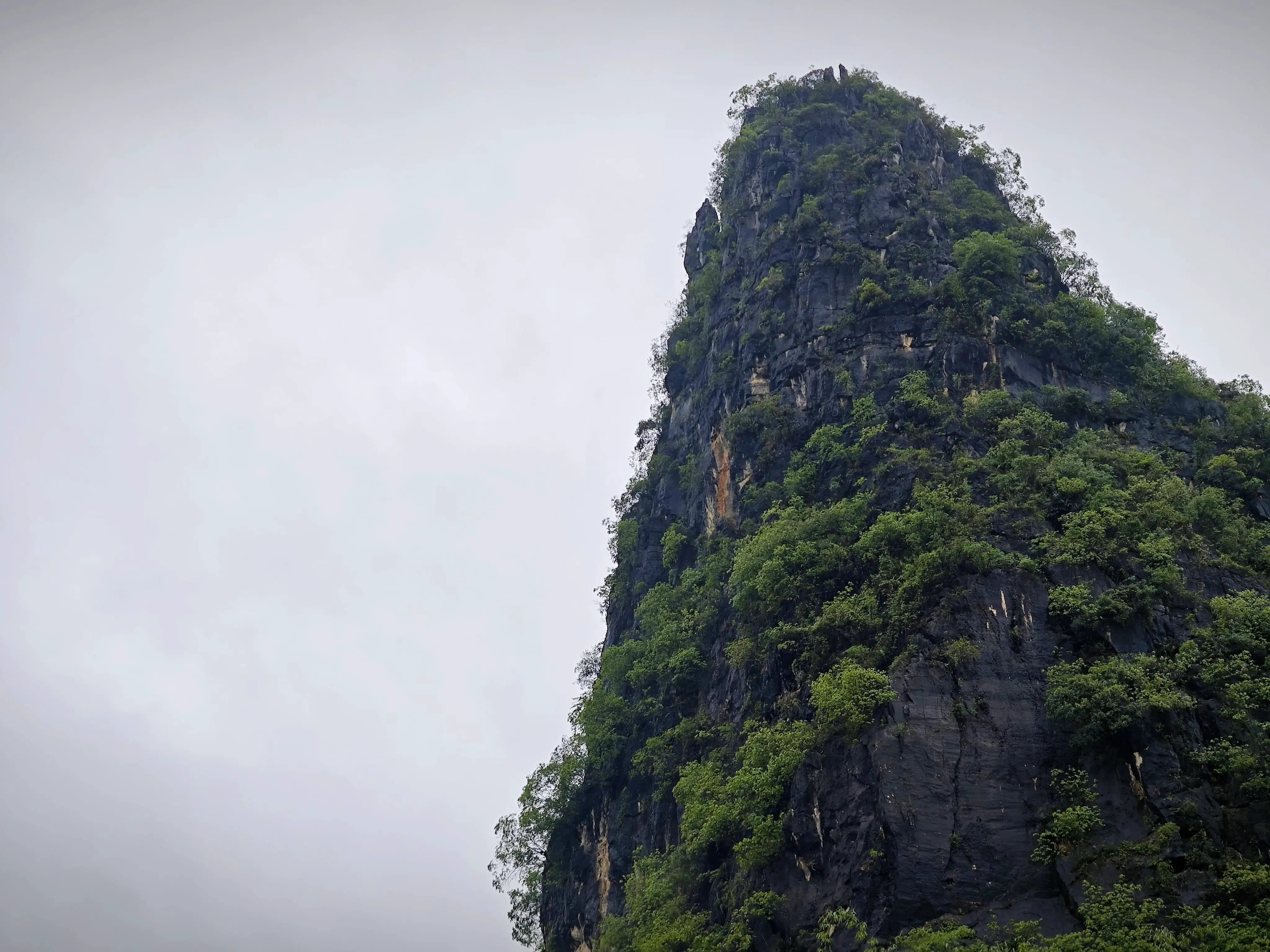 An image to describe post