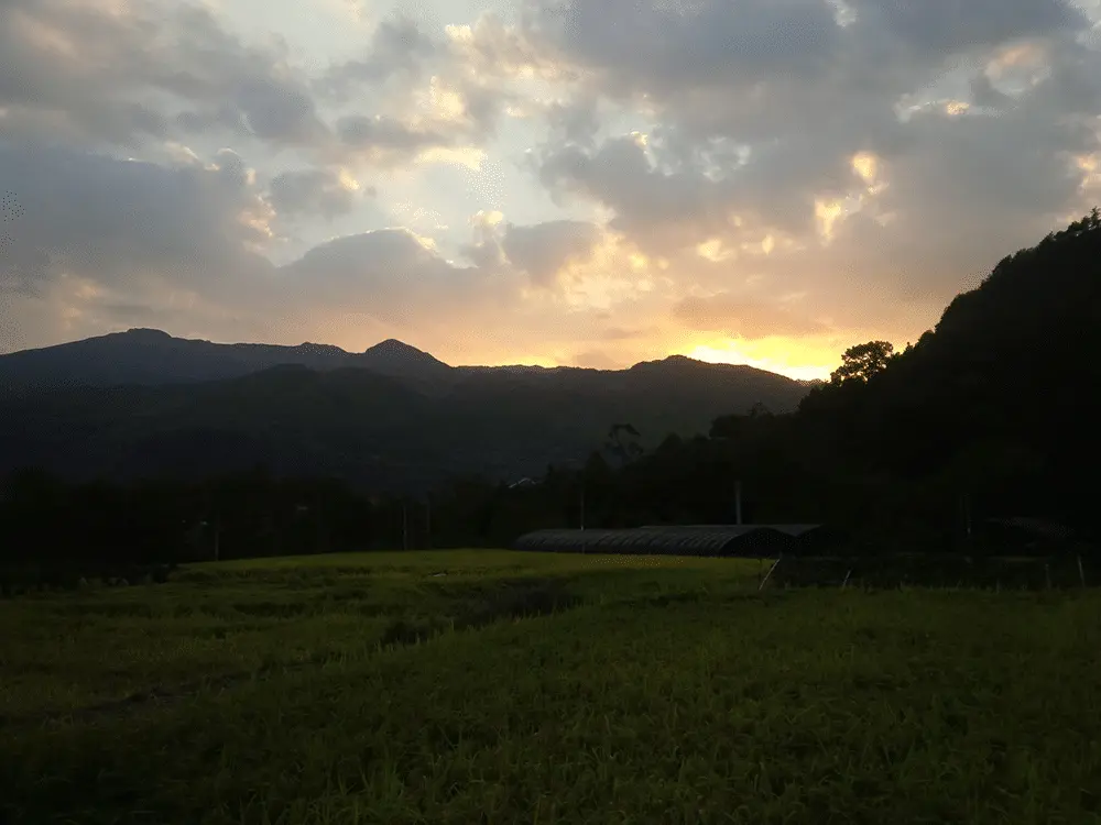 An image to describe post