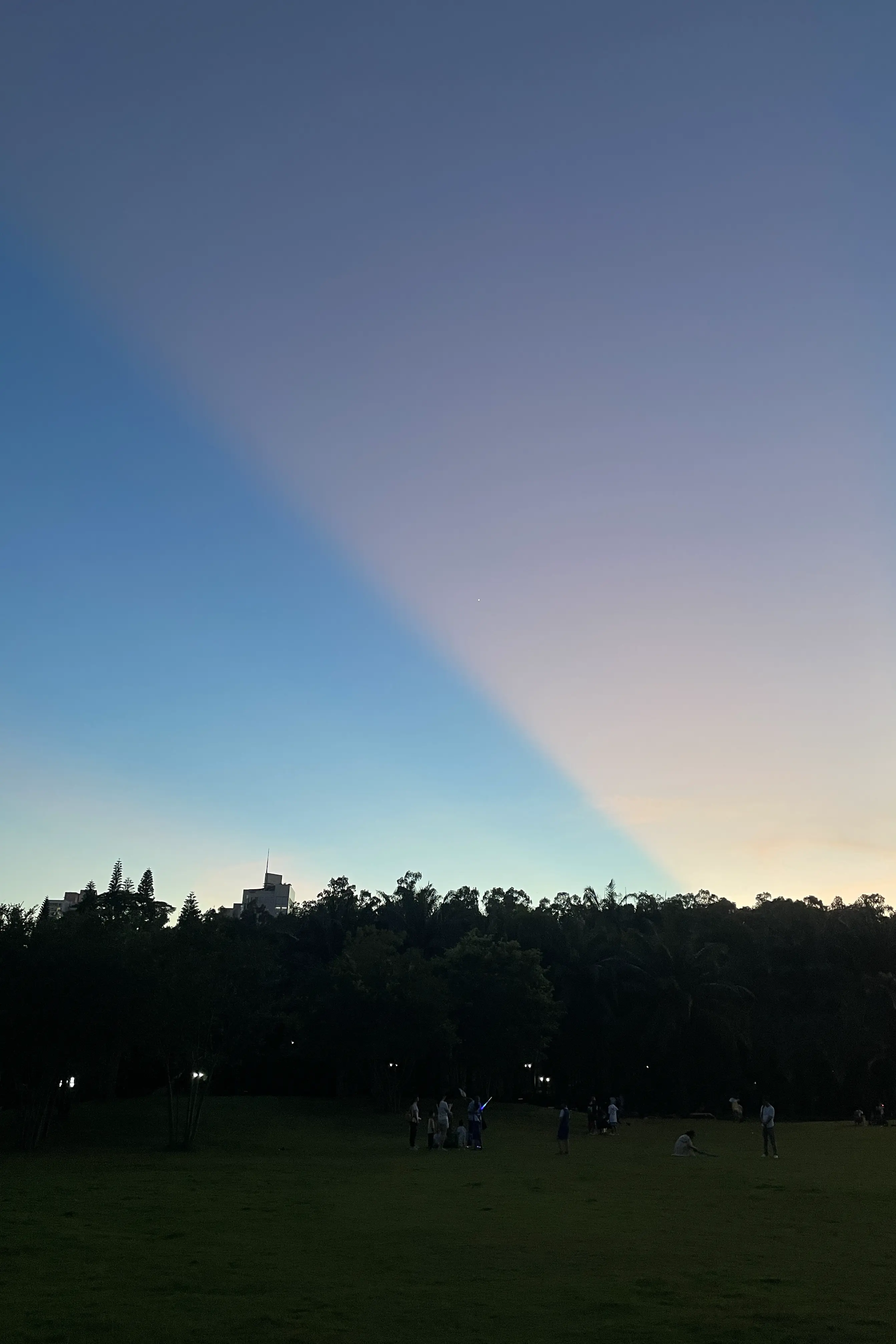 NO25 单一故事的危险性