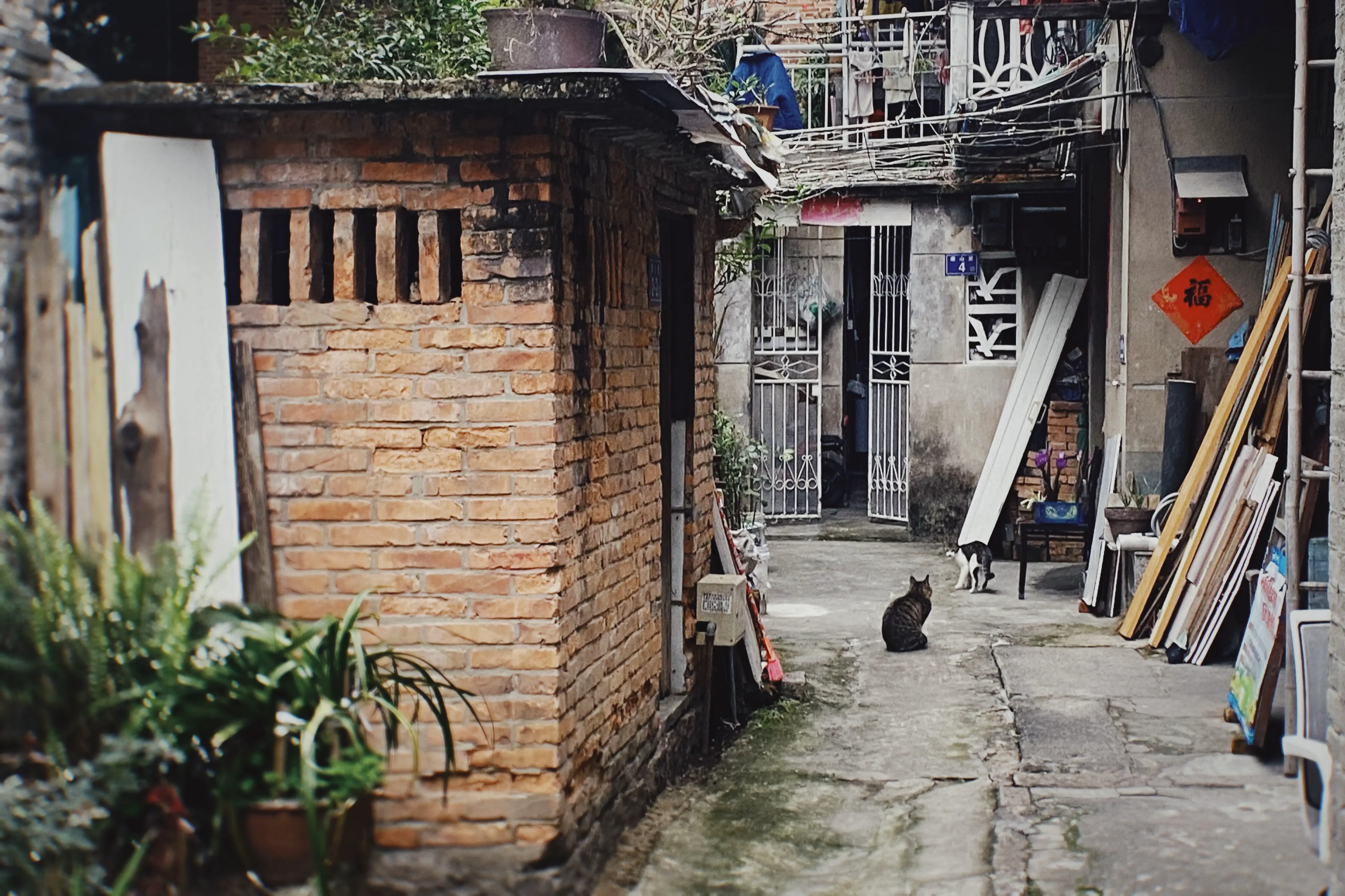 An image to describe post