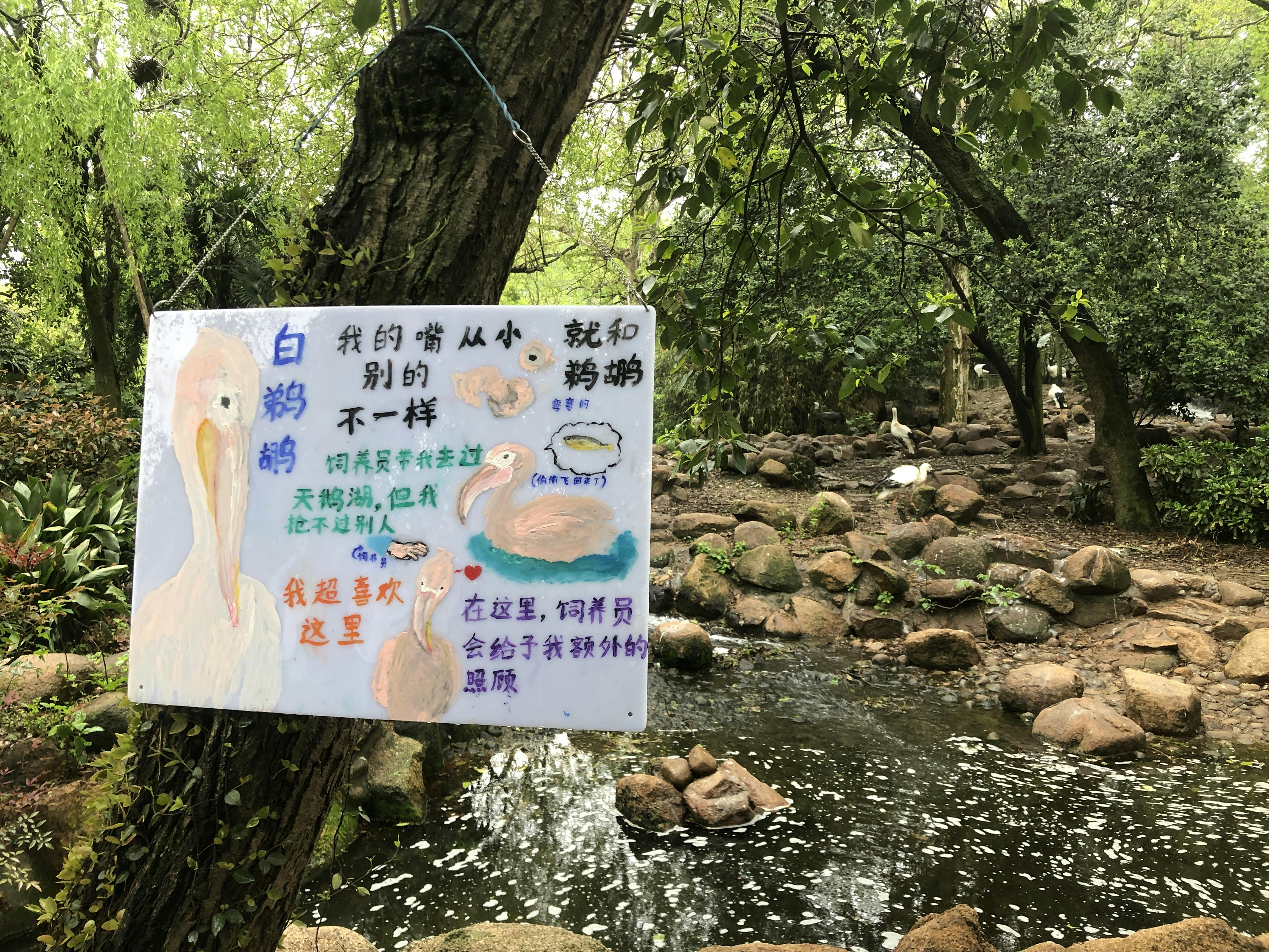 An image to describe post