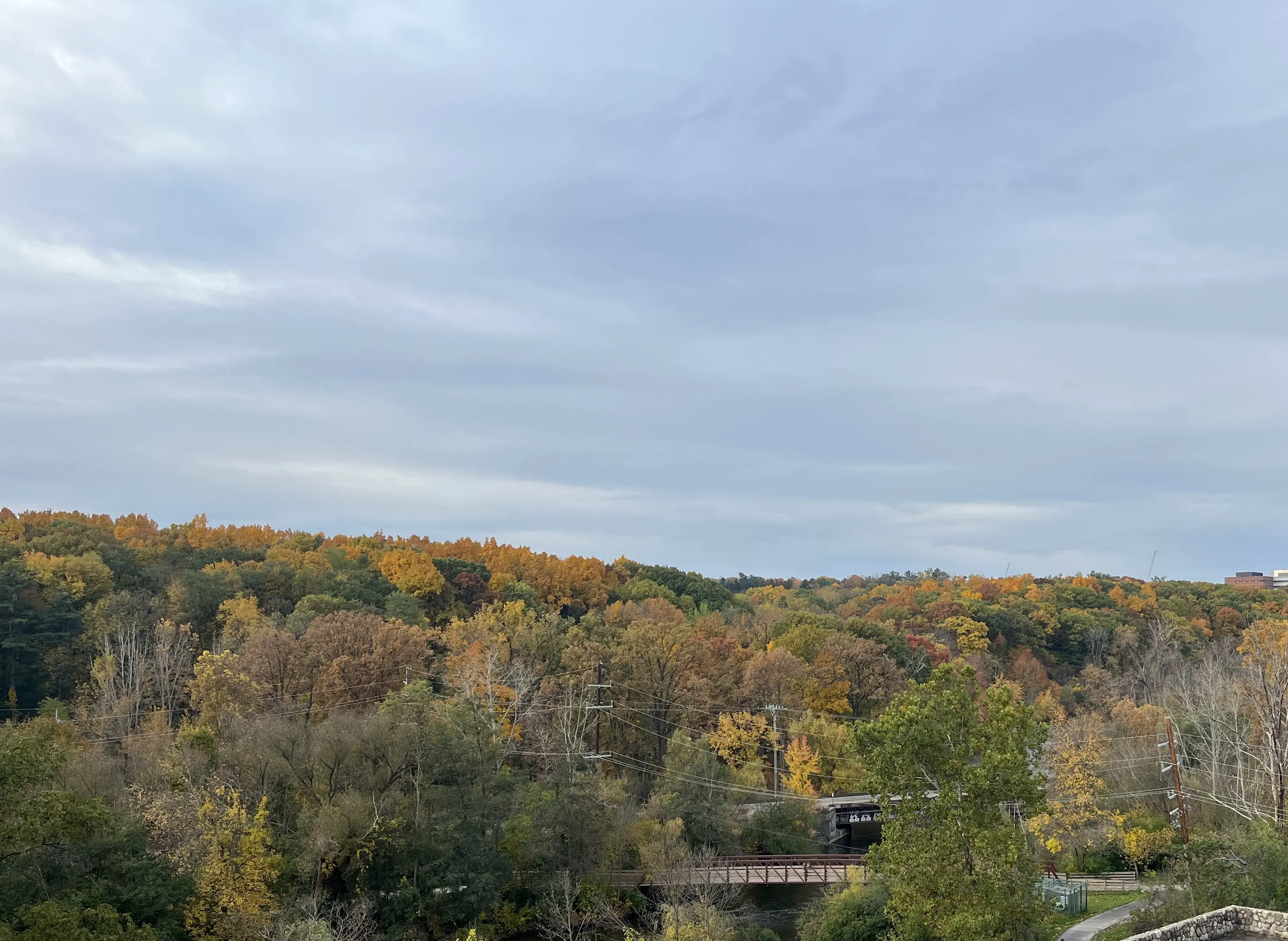 An image to describe post