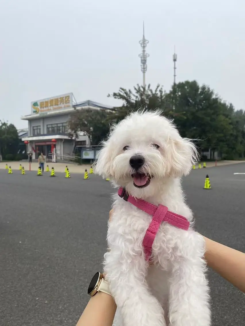 An image to describe post