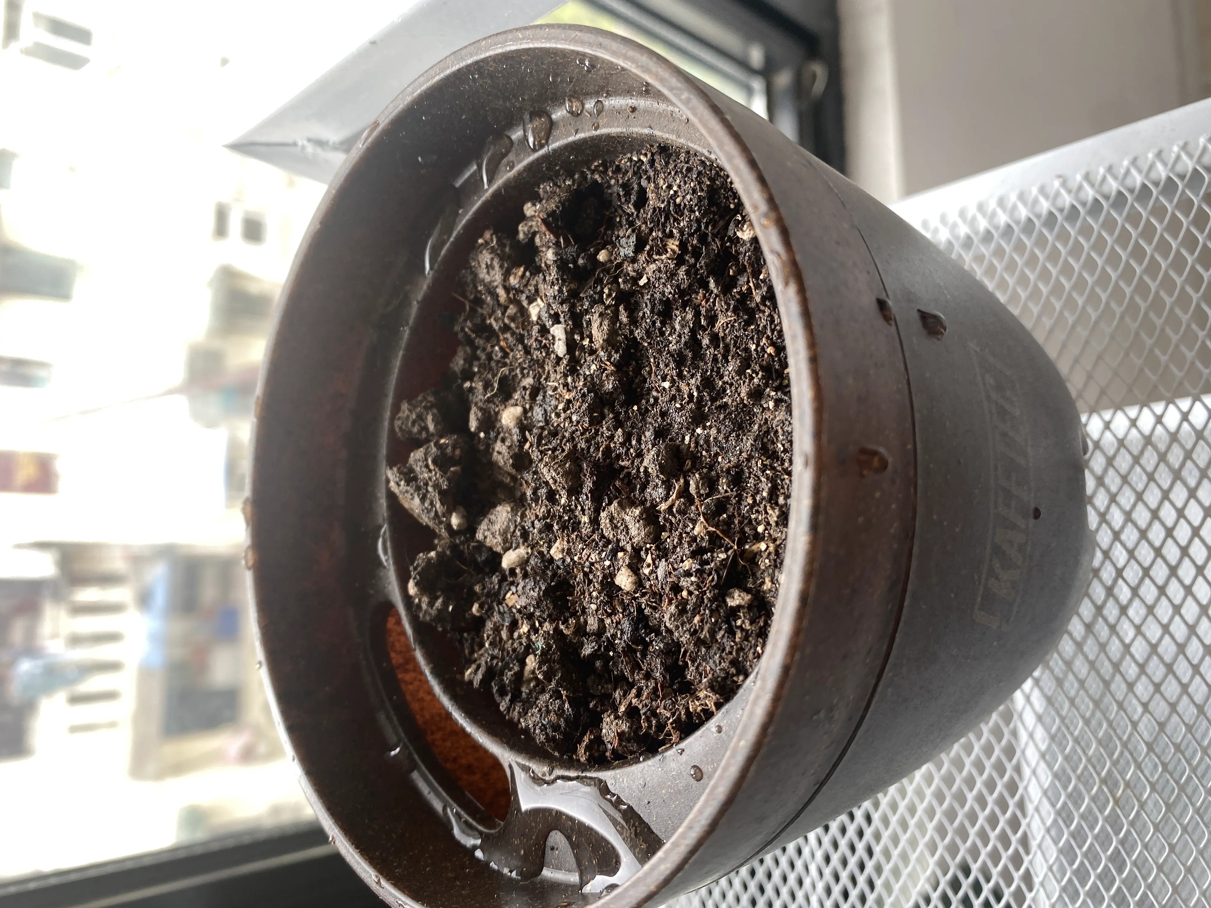 An image to describe post