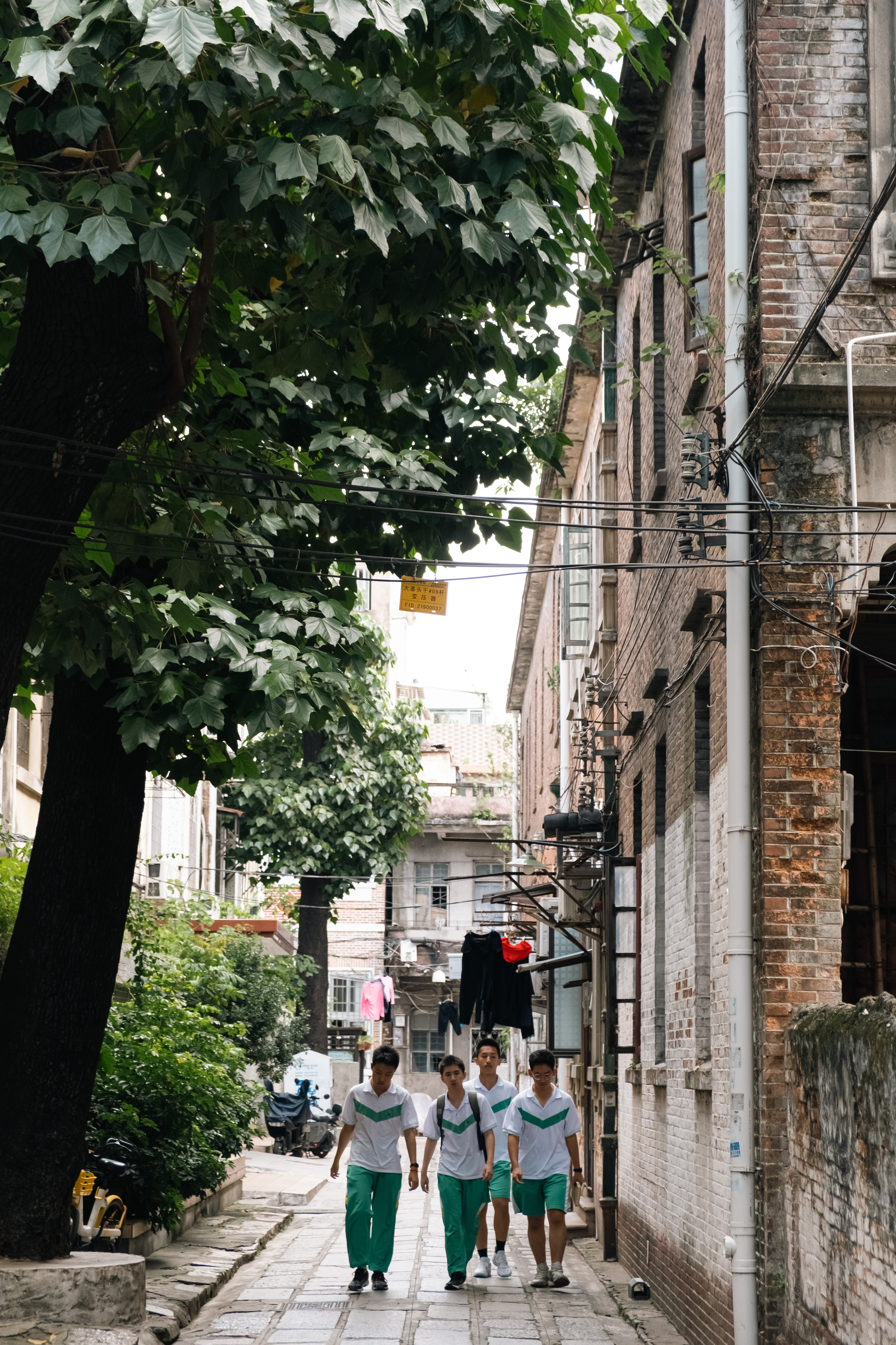 An image to describe post