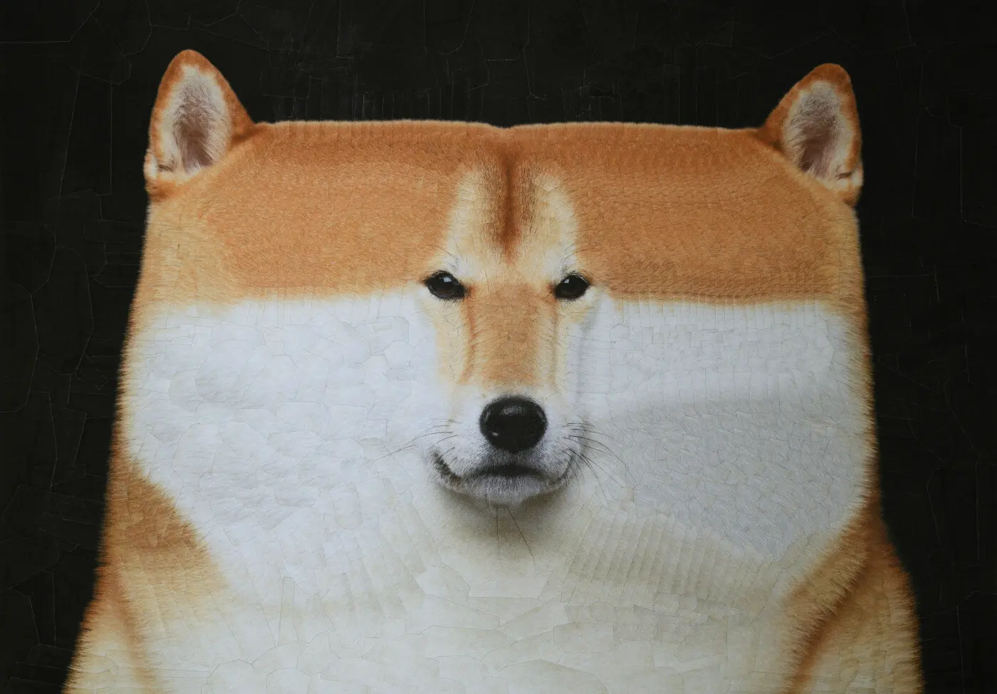 An image to describe post