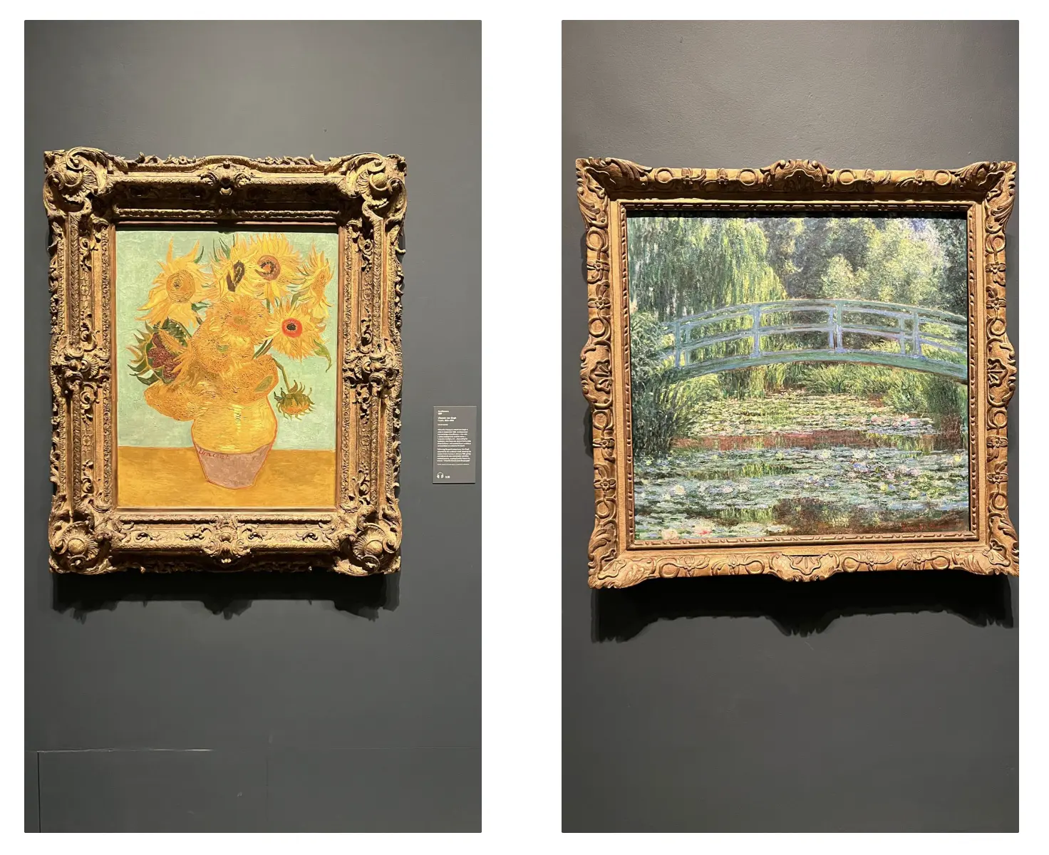 An image to describe post