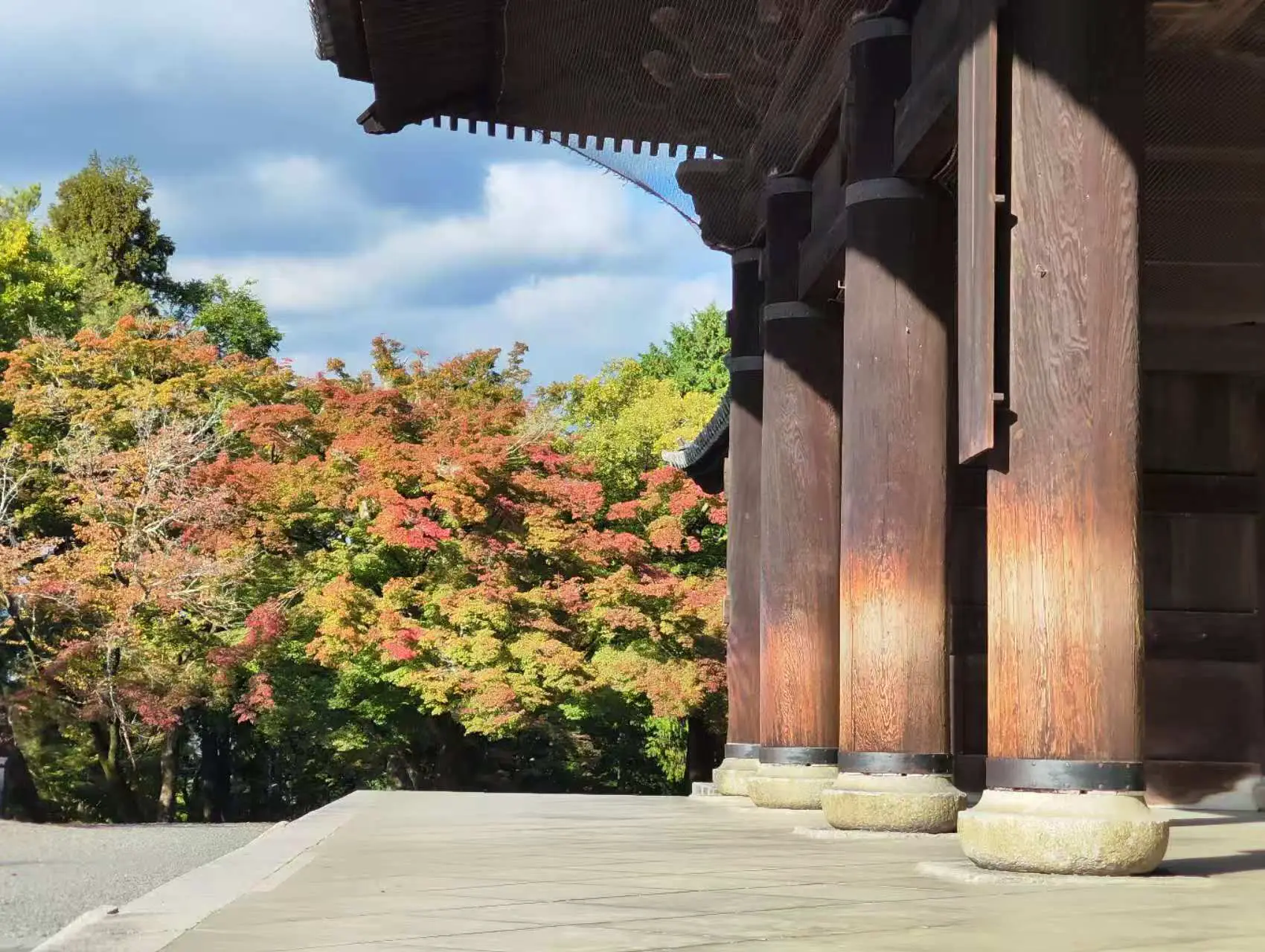 An image to describe post