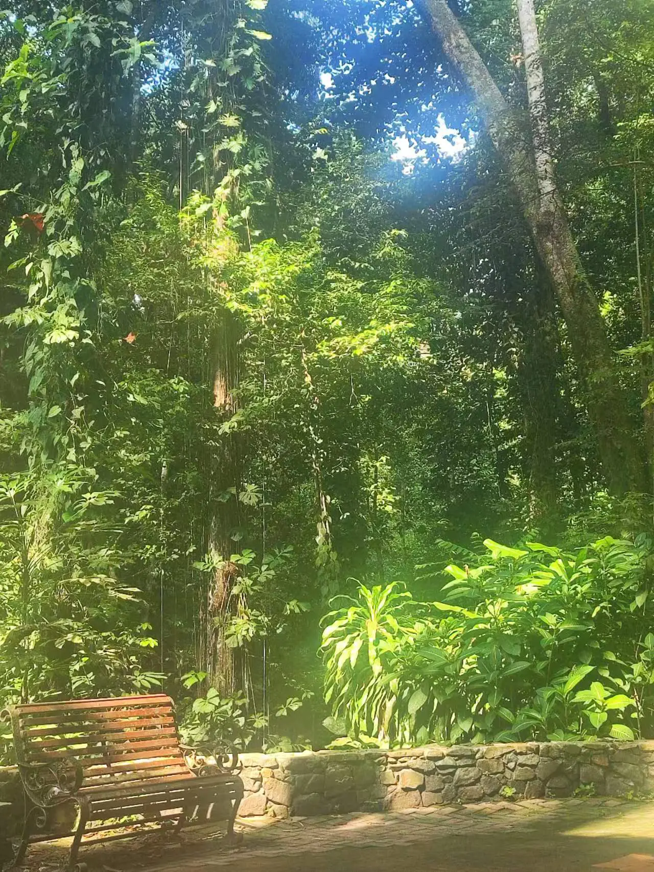 An image to describe post