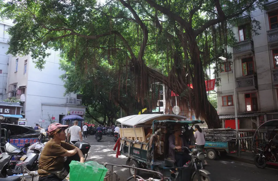 An image to describe post