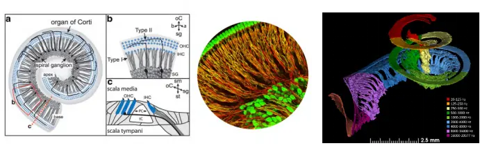 An image to describe post