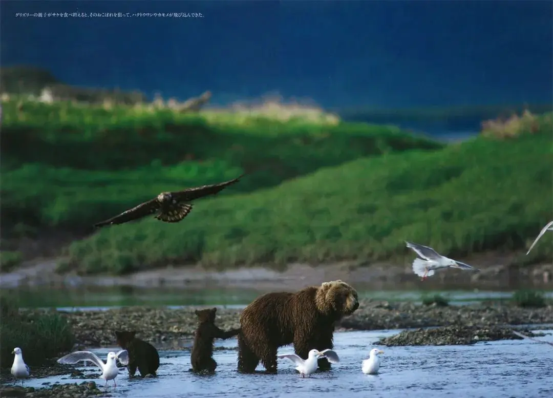 An image to describe post