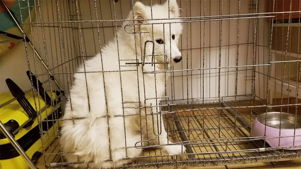 An image to describe post