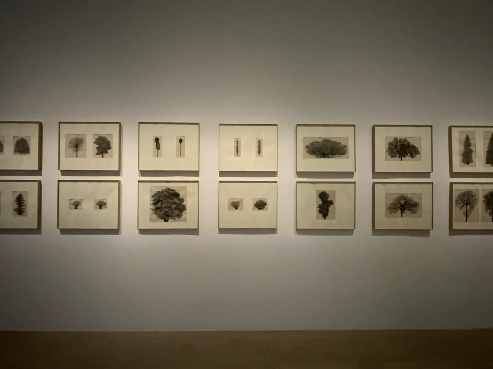 An image to describe post