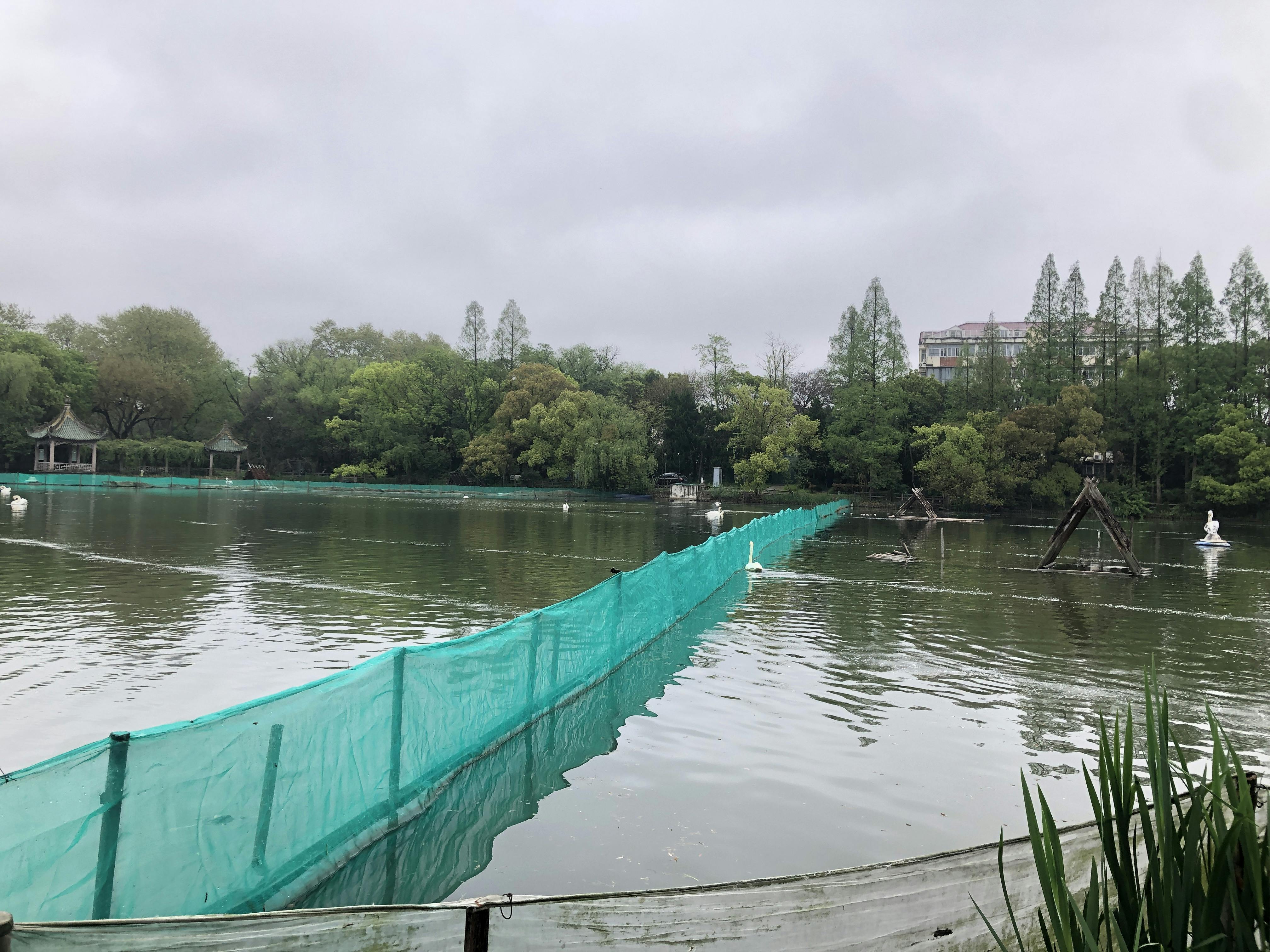 An image to describe post