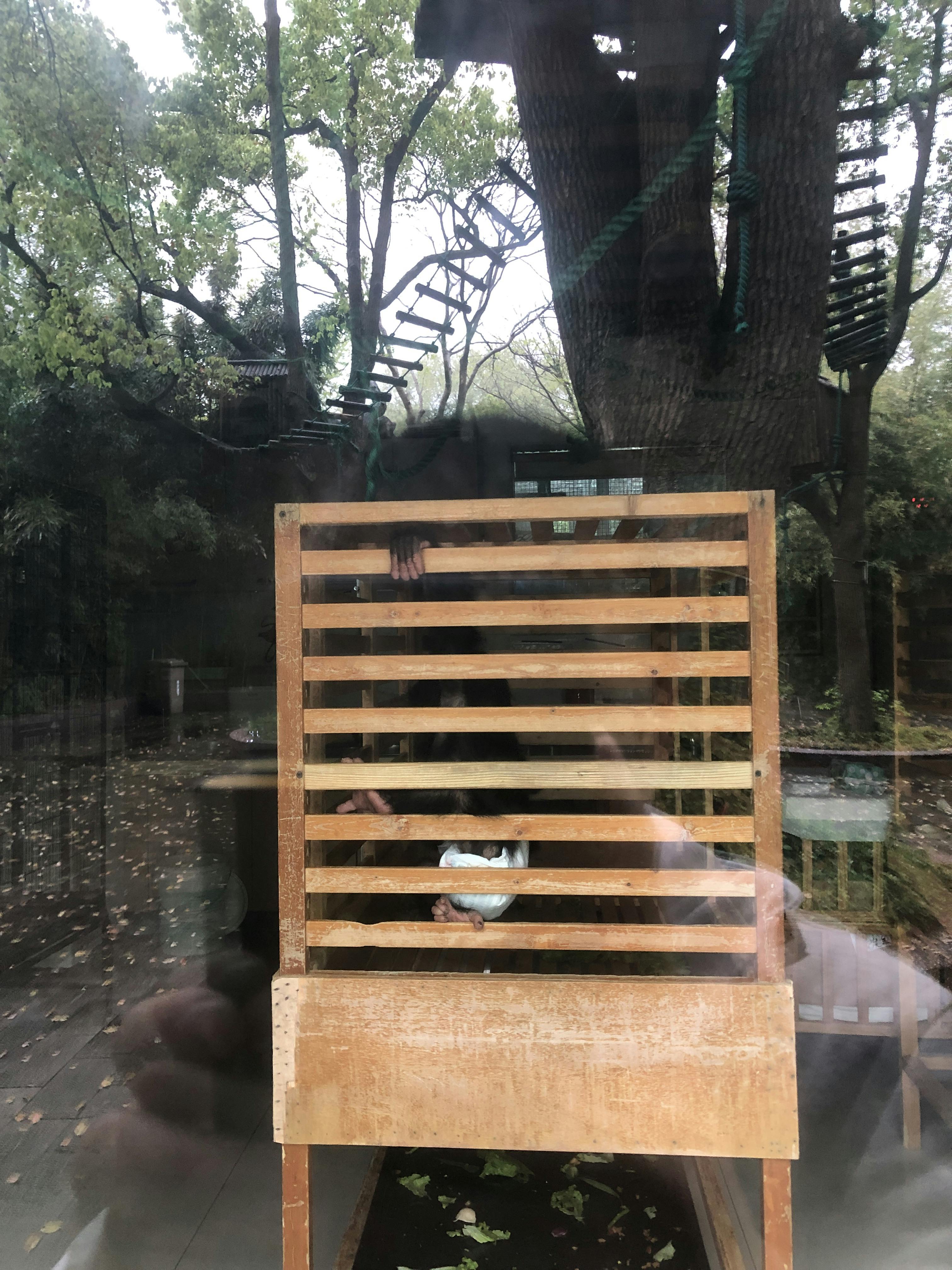 An image to describe post