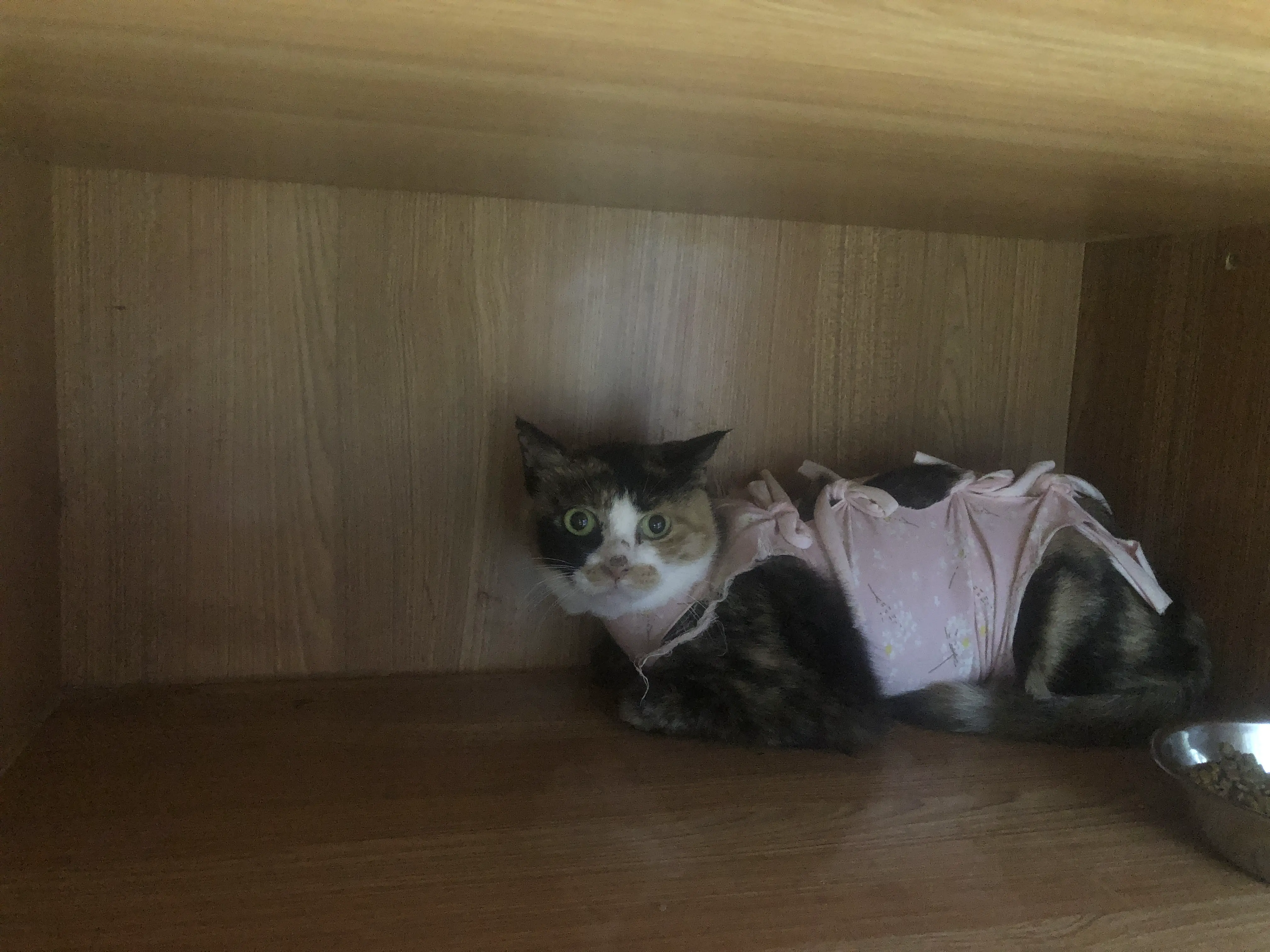 An image to describe post