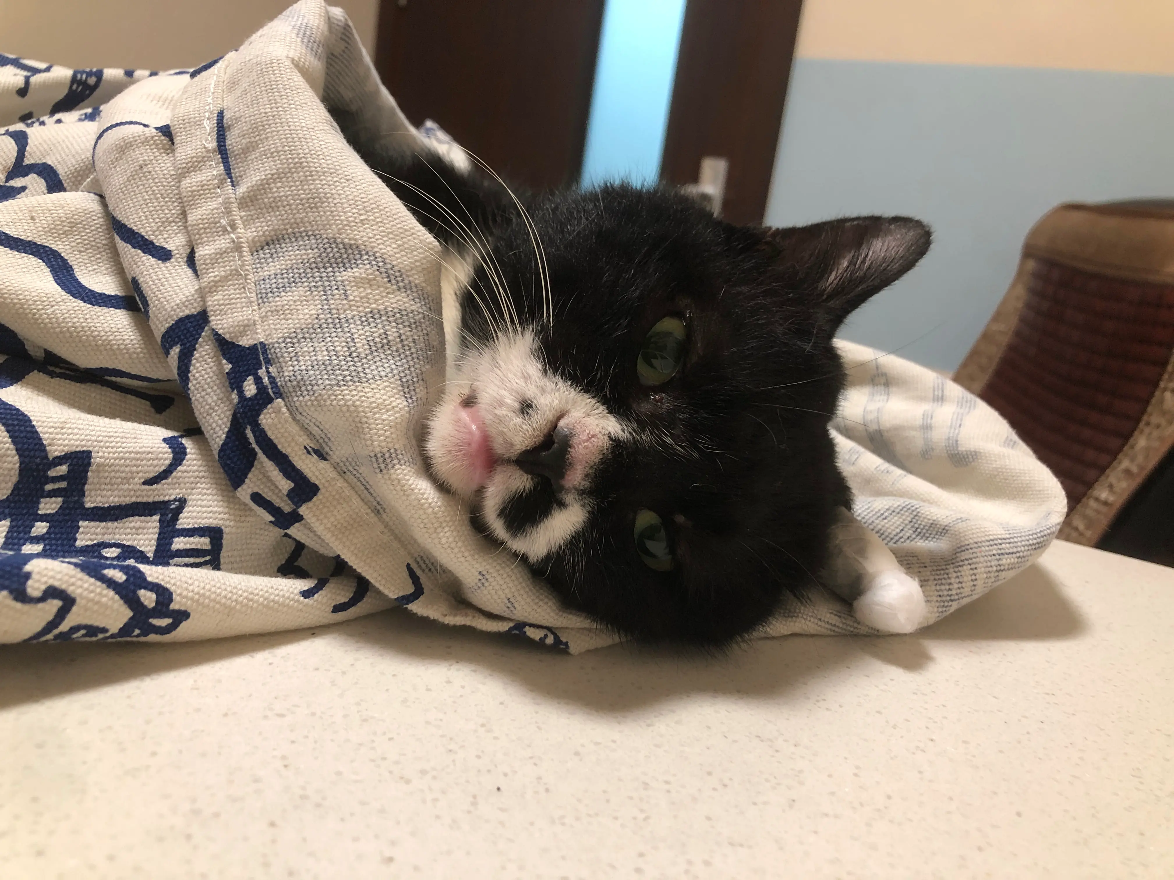 An image to describe post