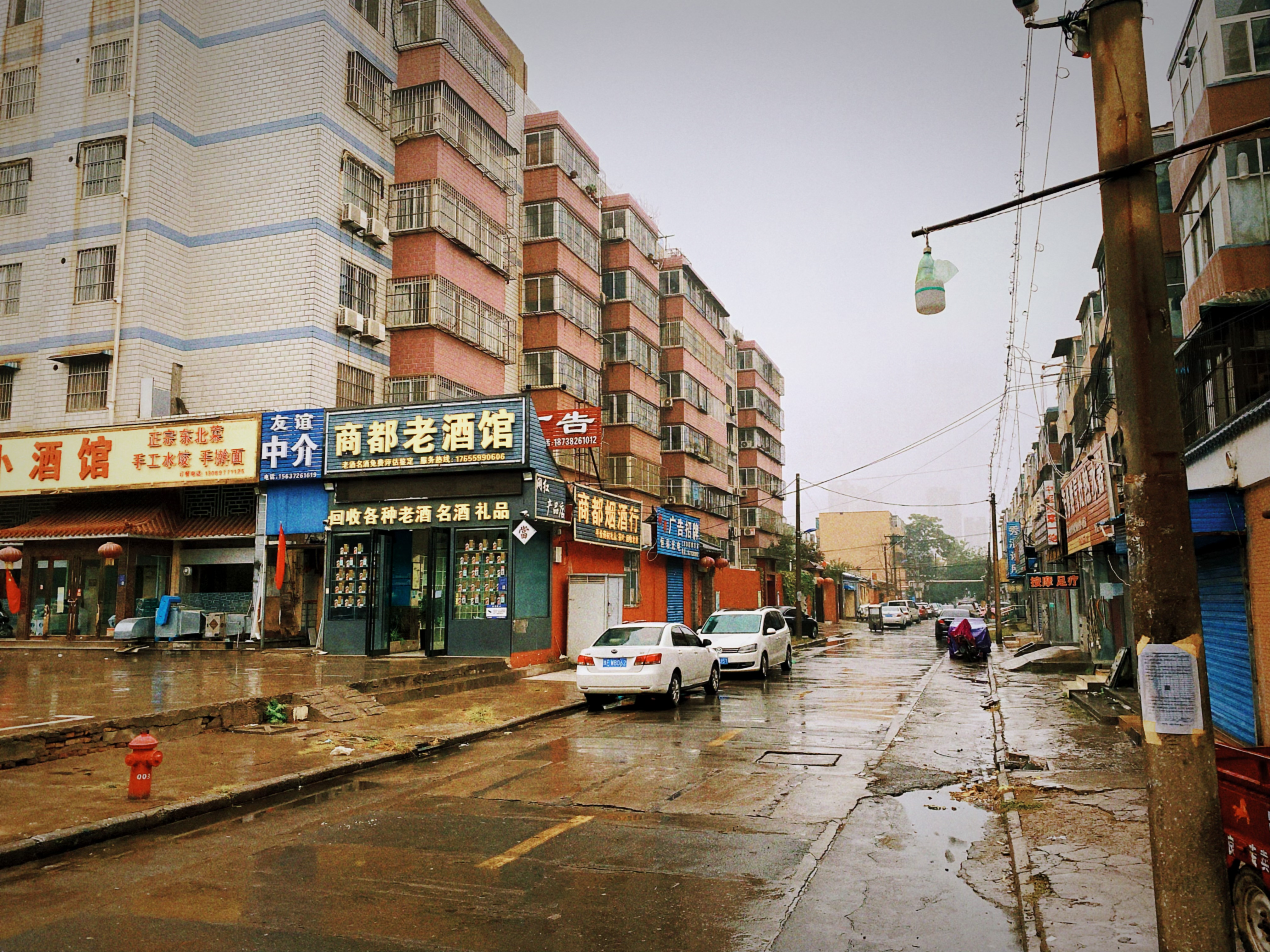 一颗小树 #33 回不去的名字叫家乡