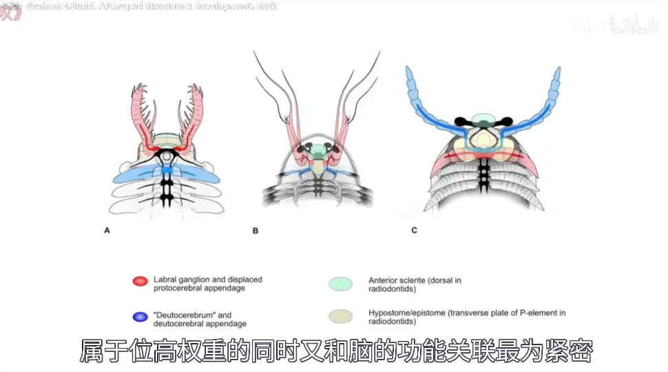 An image to describe post