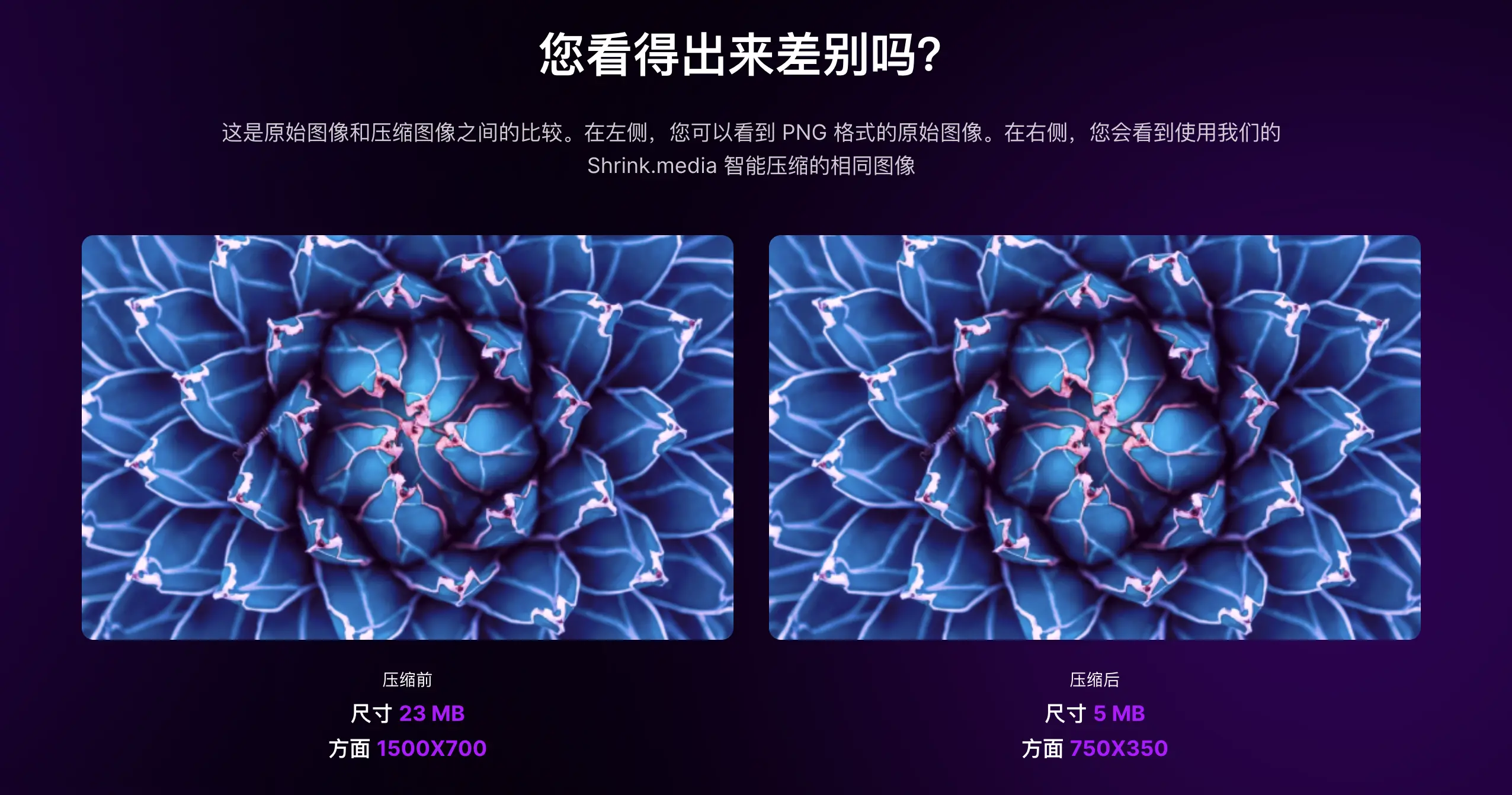 An image to describe post