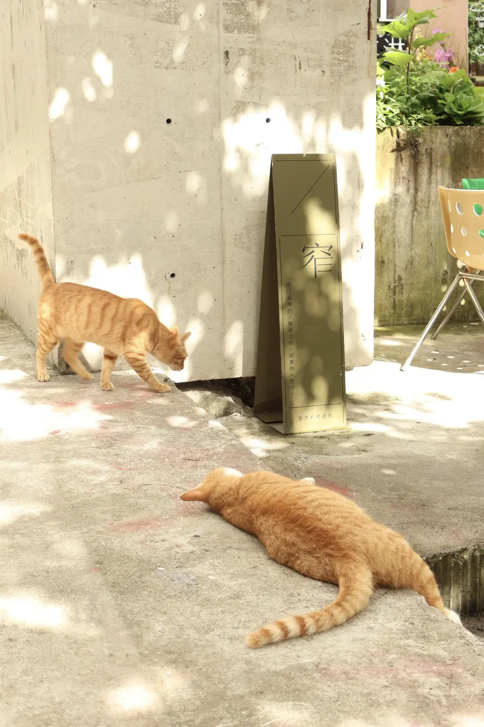 An image to describe post