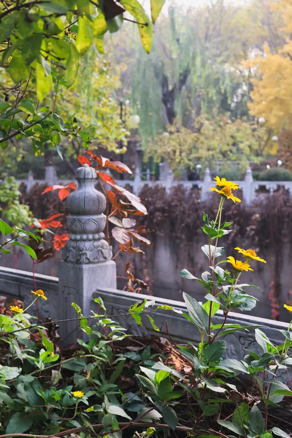 An image to describe post