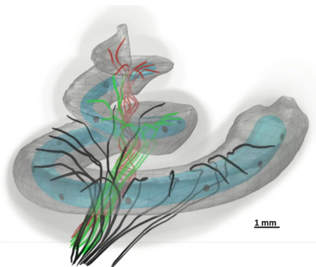 An image to describe post