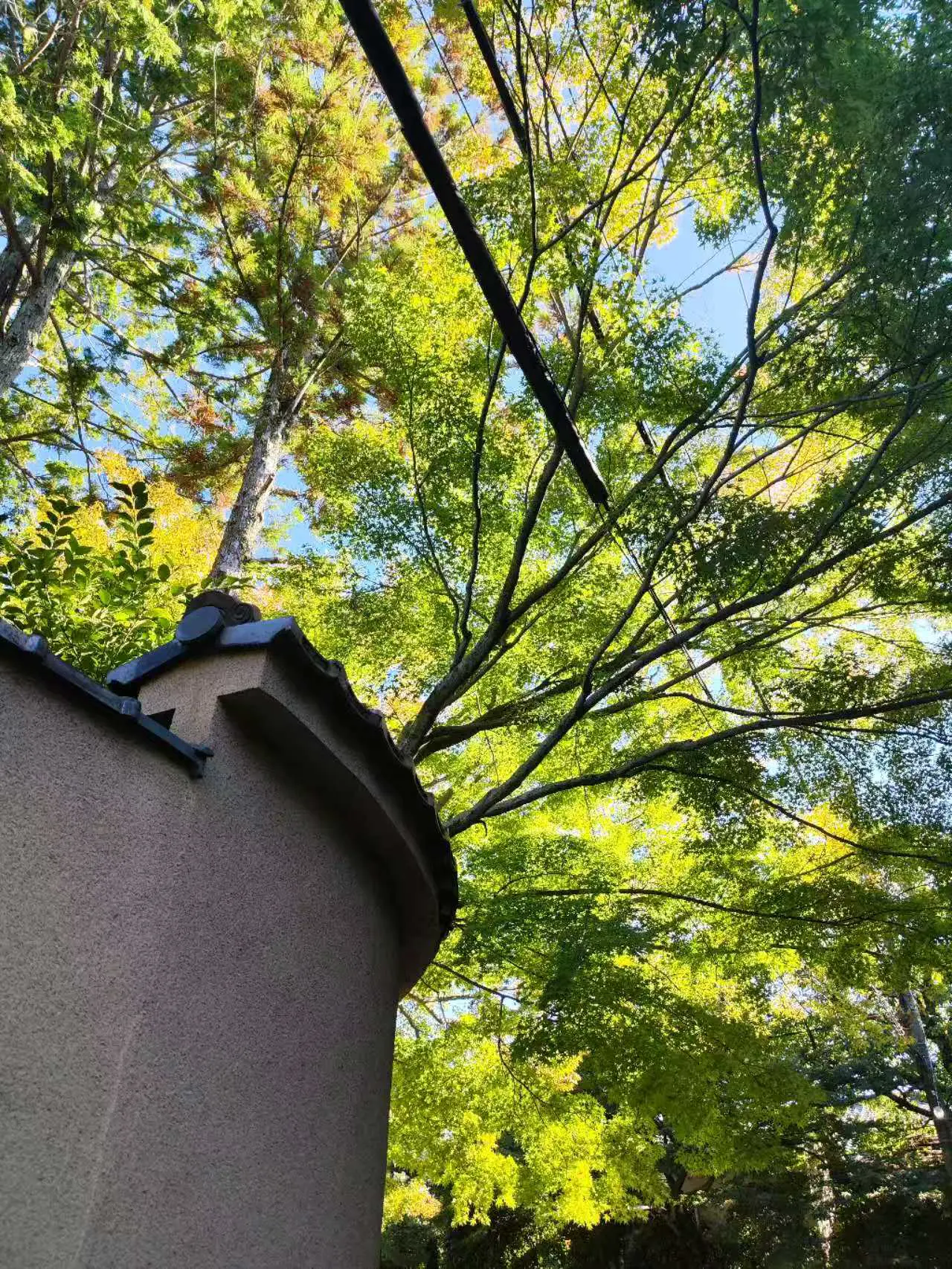 An image to describe post