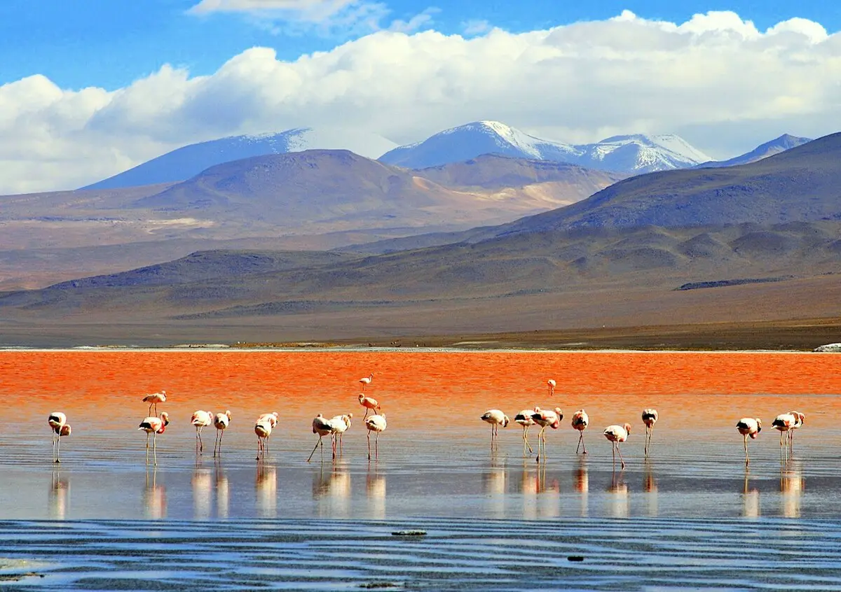 An image to describe post