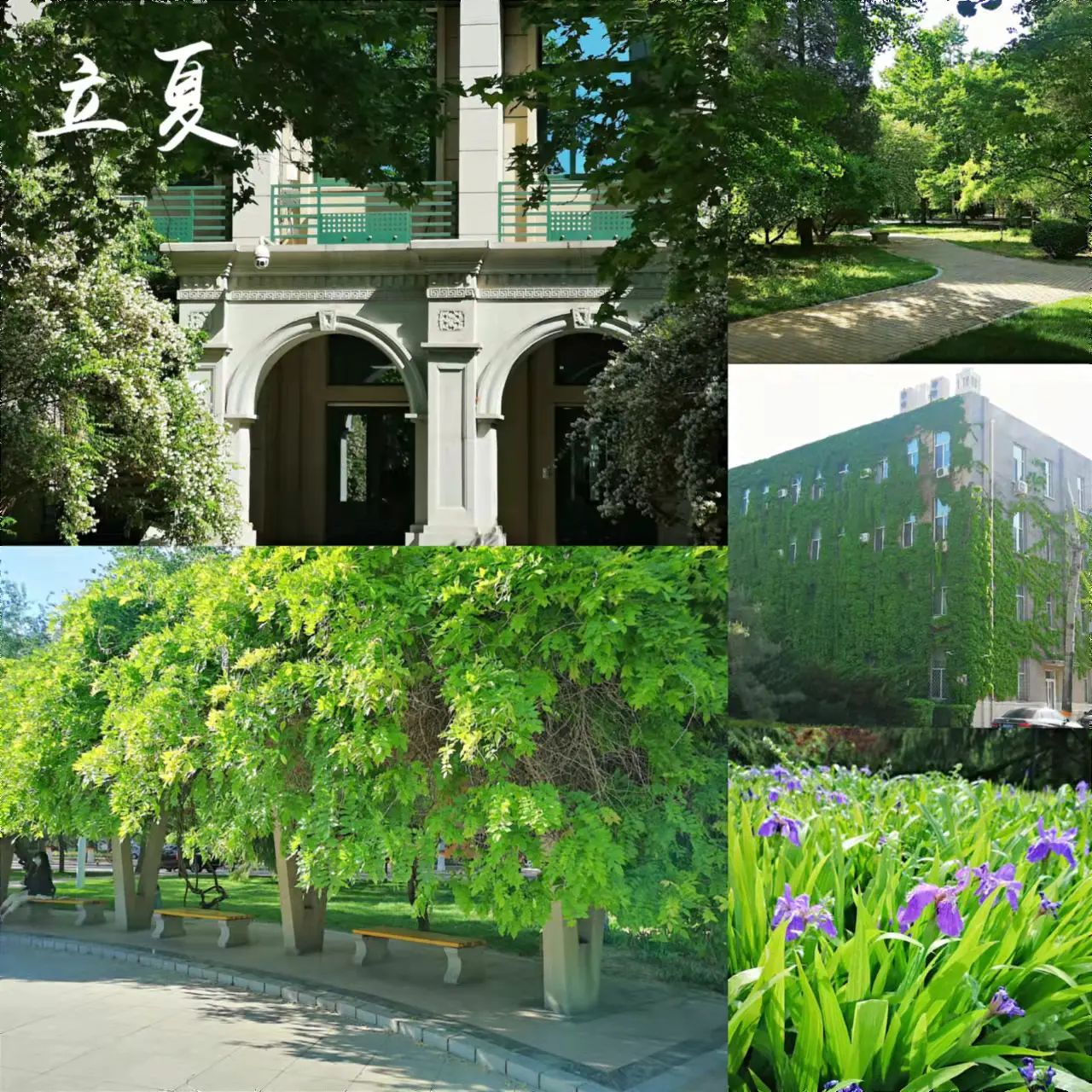 Semi-paranoid #9 知识可以传授，但_____不能