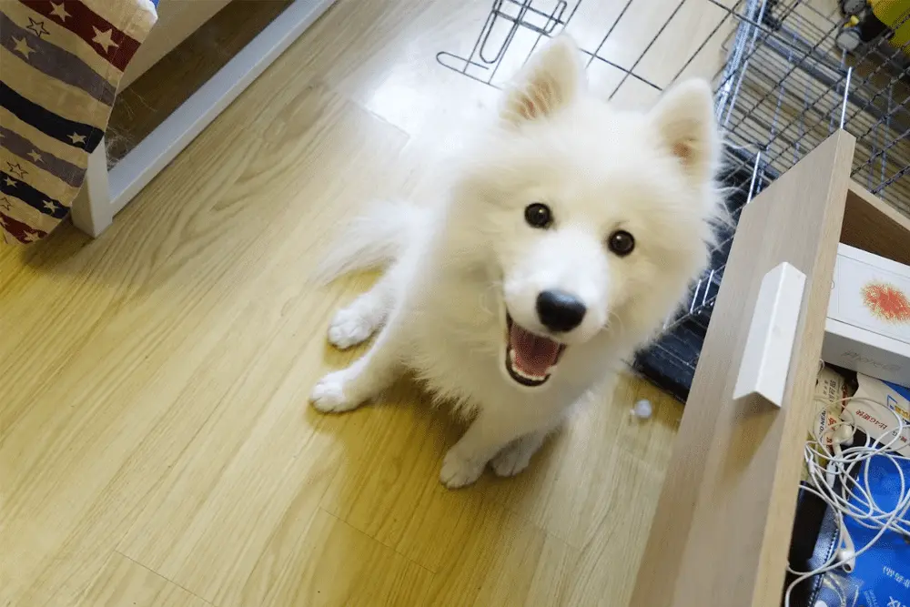 An image to describe post