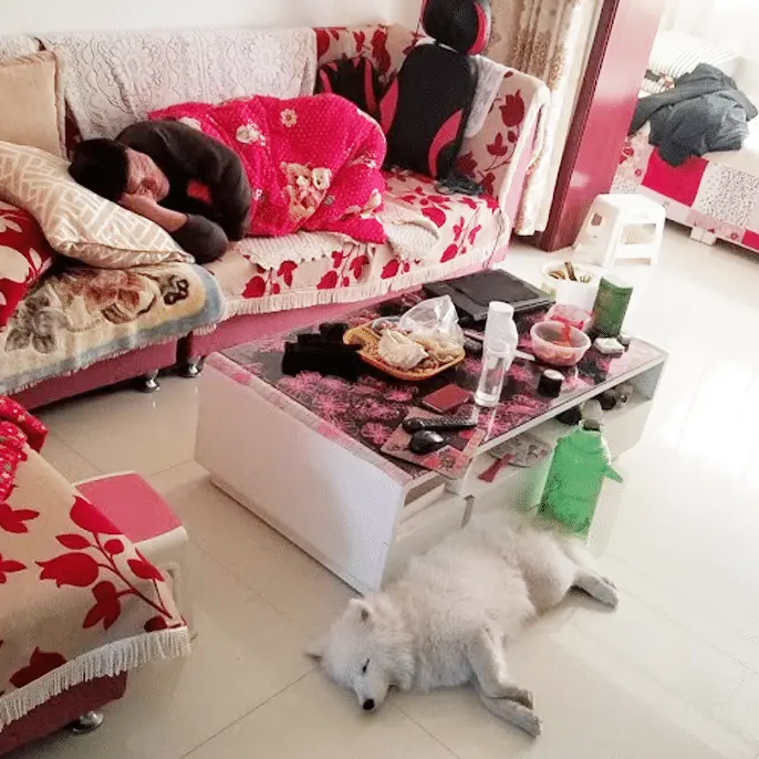 An image to describe post