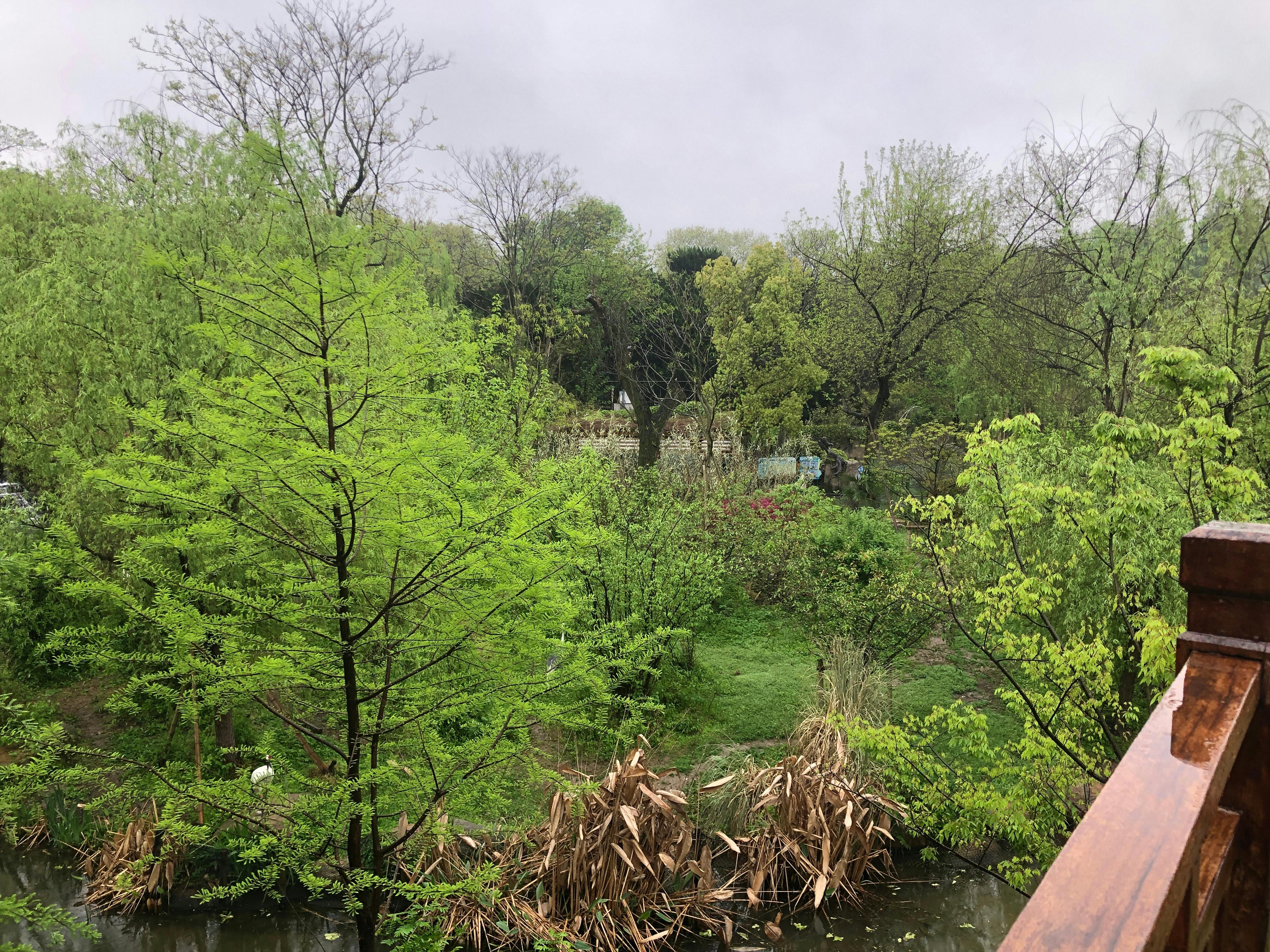 An image to describe post