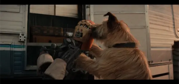 An image to describe post