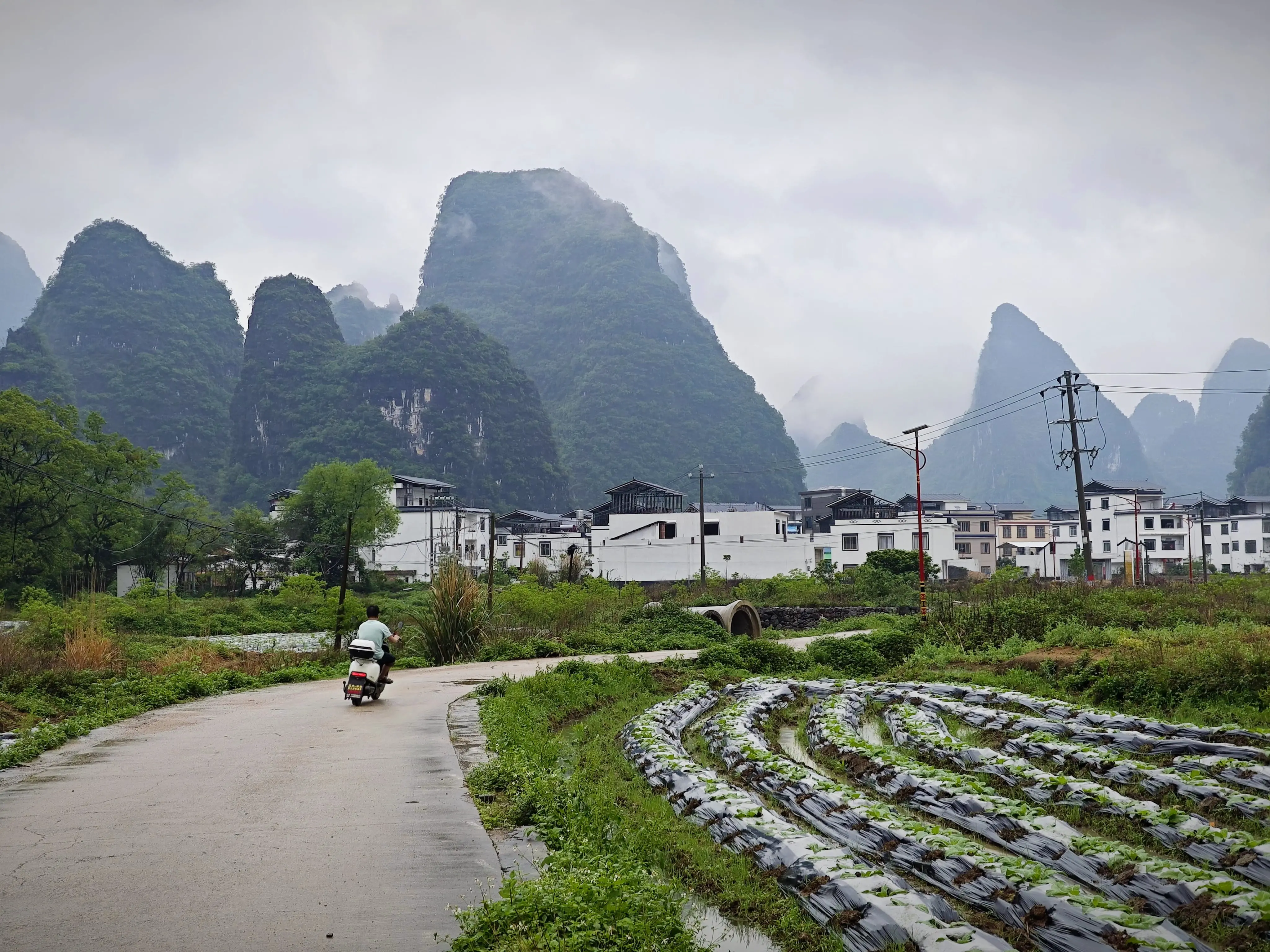 An image to describe post