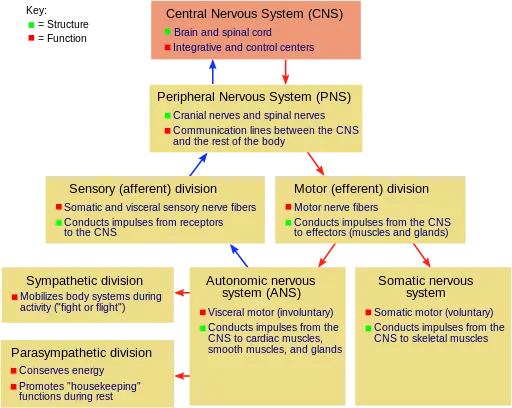 An image to describe post