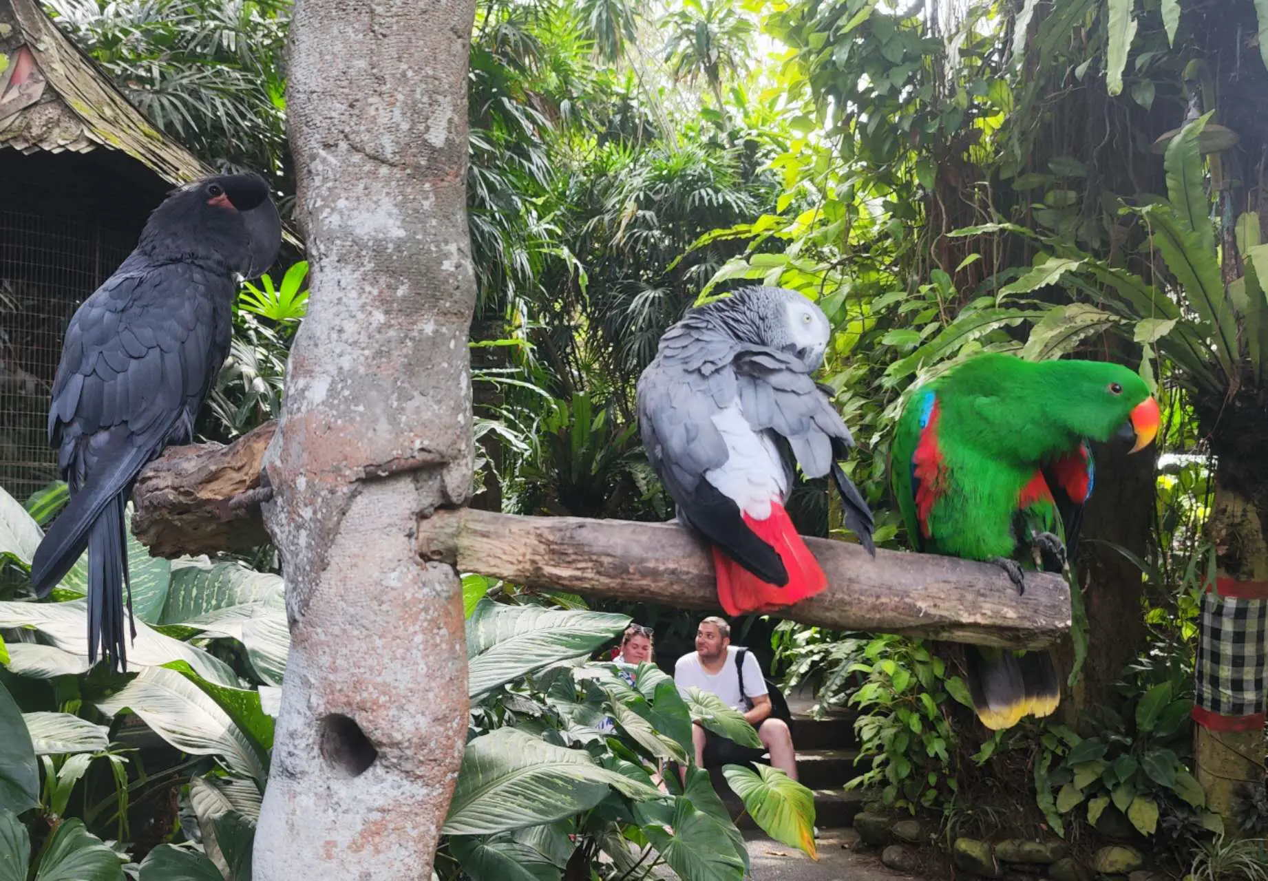 An image to describe post