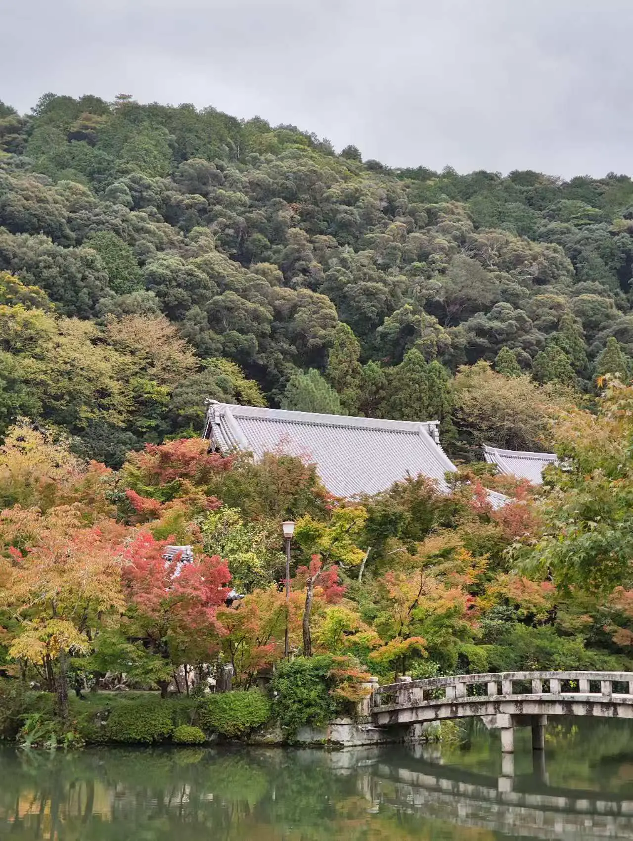 An image to describe post