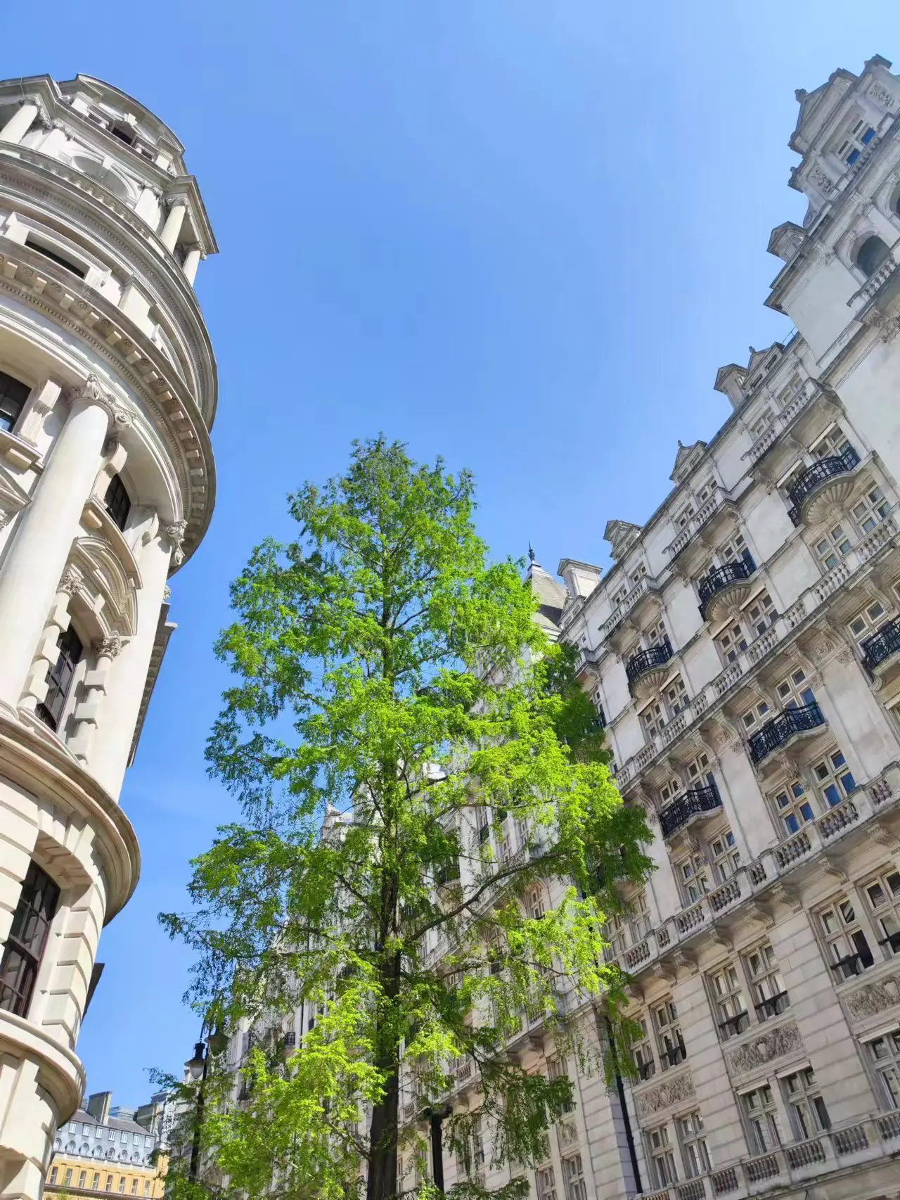 An image to describe post